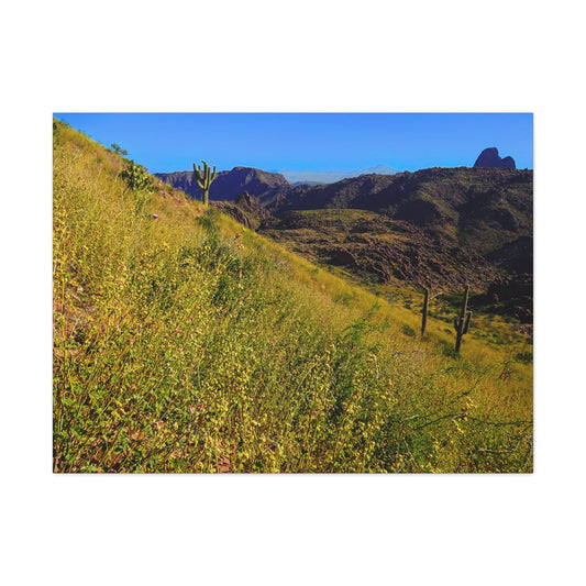 Canvas Gallery Wrap: Three Sisters Summit; Arizona Photography, Wall Art, Natural Landscape Home Decor for Hikers and Nature Lovers!