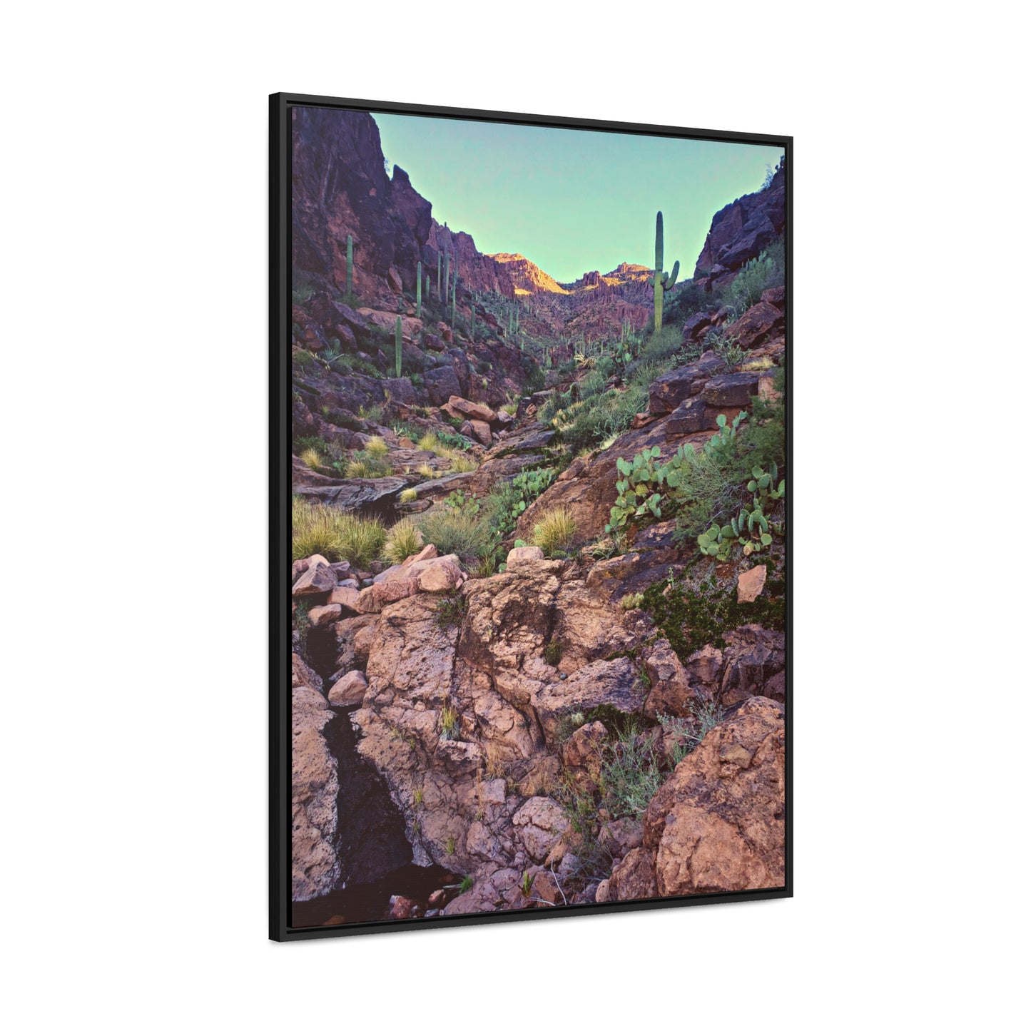 Framed Canvas Gallery Wraps: A View Up the Canyon; Arizona Photography, Wall Art, Natural Landscape Home Decor for Hikers and Nature Lovers!