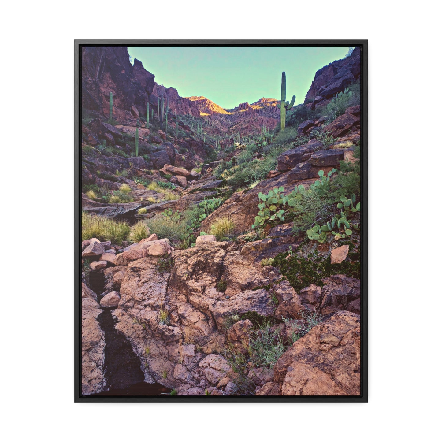 Framed Canvas Gallery Wraps: A View Up the Canyon; Arizona Photography, Wall Art, Natural Landscape Home Decor for Hikers and Nature Lovers!