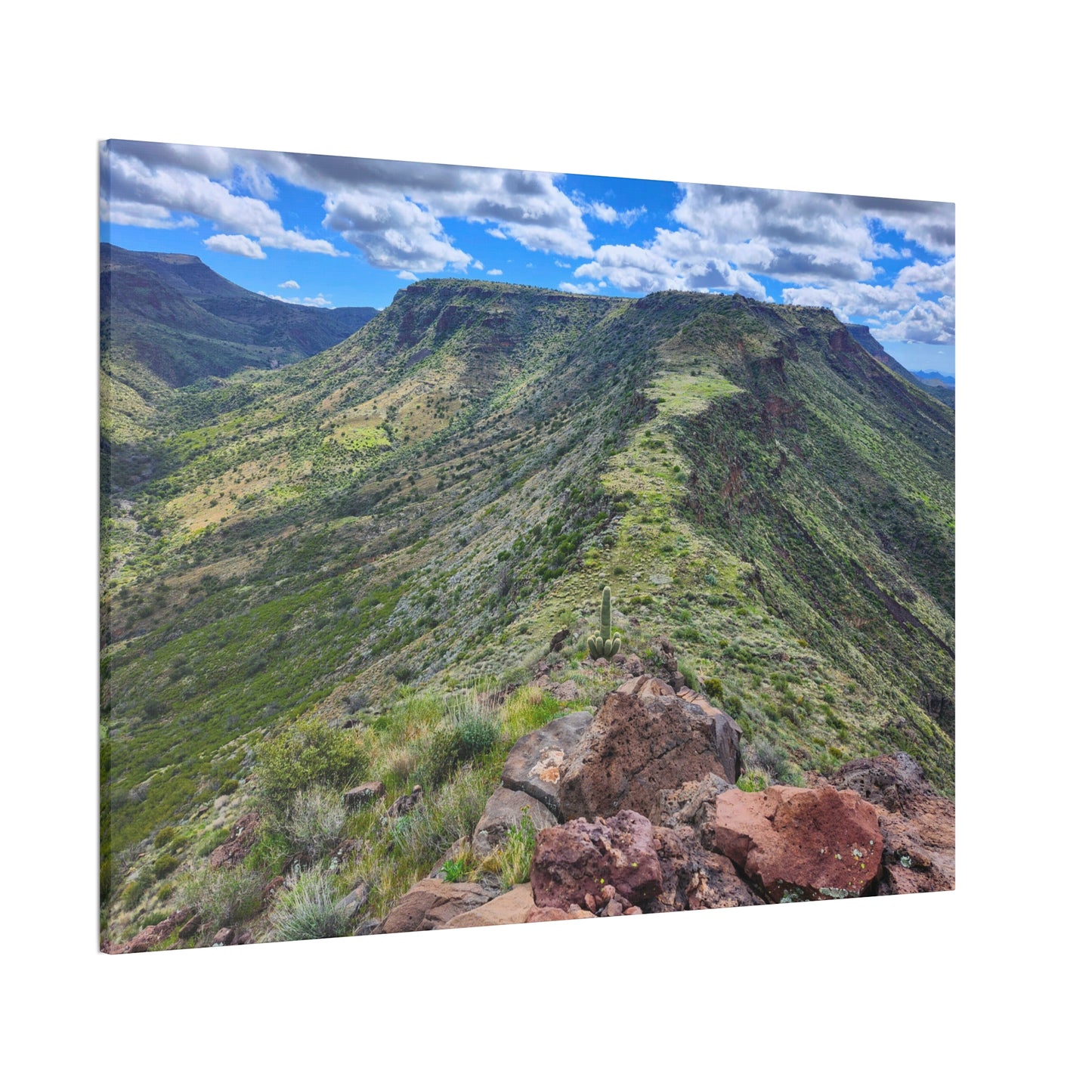 Looking Back at Skull Mesa; Arizona Photography, Wall Art, Natural Landscape Home Decor for Hikers and Nature Lovers!