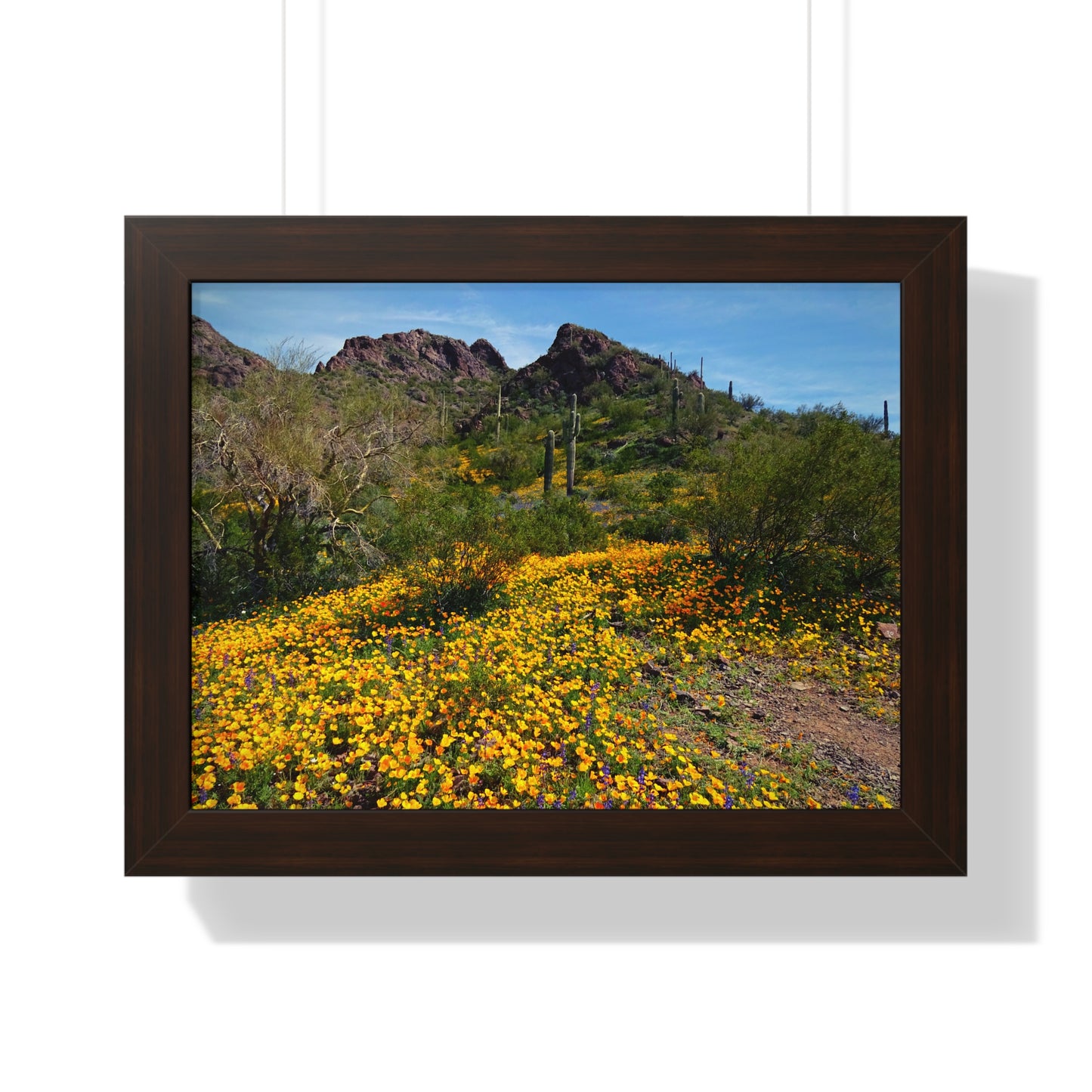 Framed Desert Photography: Desert Wildflowers; Arizona Photography, Wall Art, Natural Landscape Home Decor for Hikers and Nature Lovers!