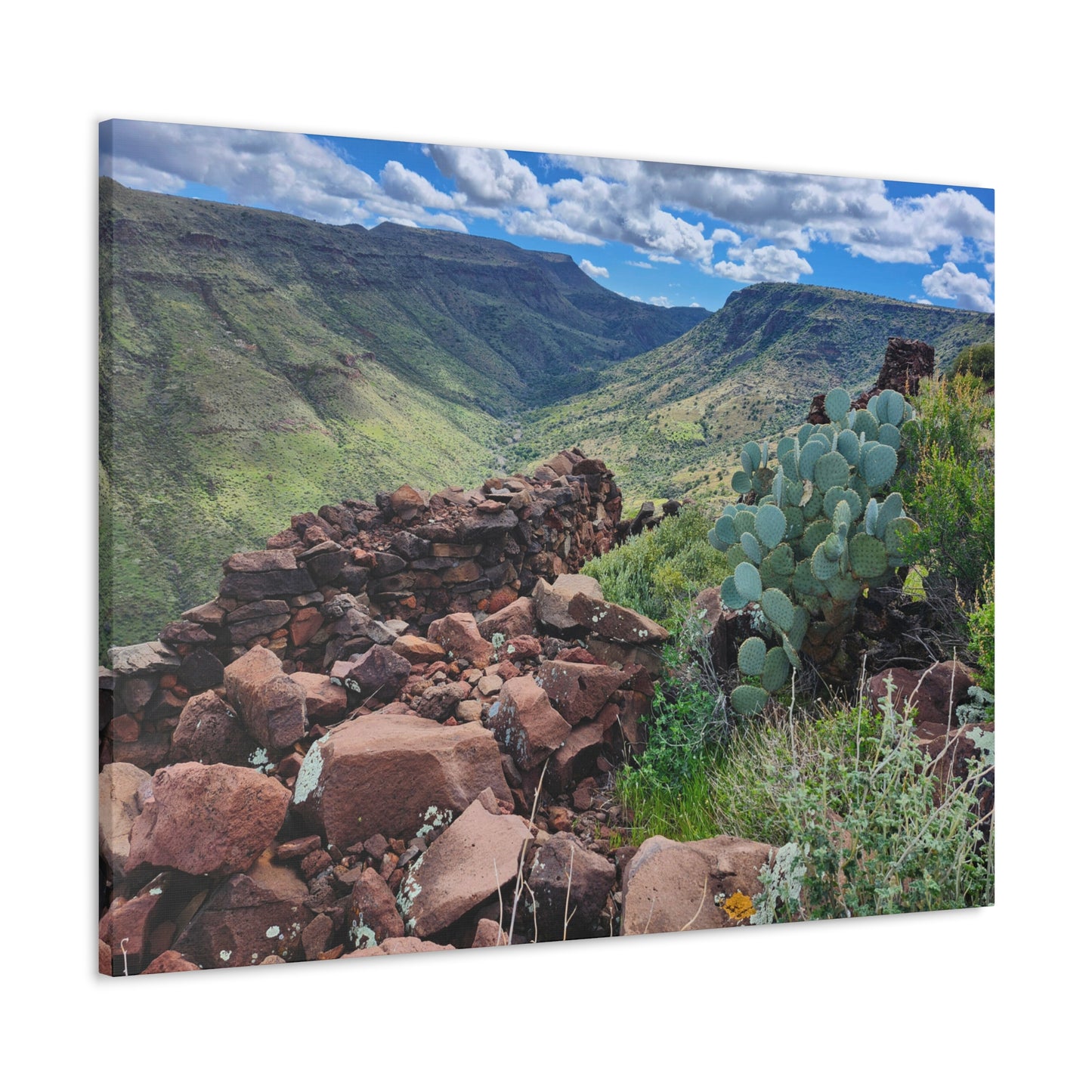 The Ruins of Skull Mesa (#3); Arizona Photography, Wall Art, Natural Landscape Home Decor for Hikers and Nature Lovers!