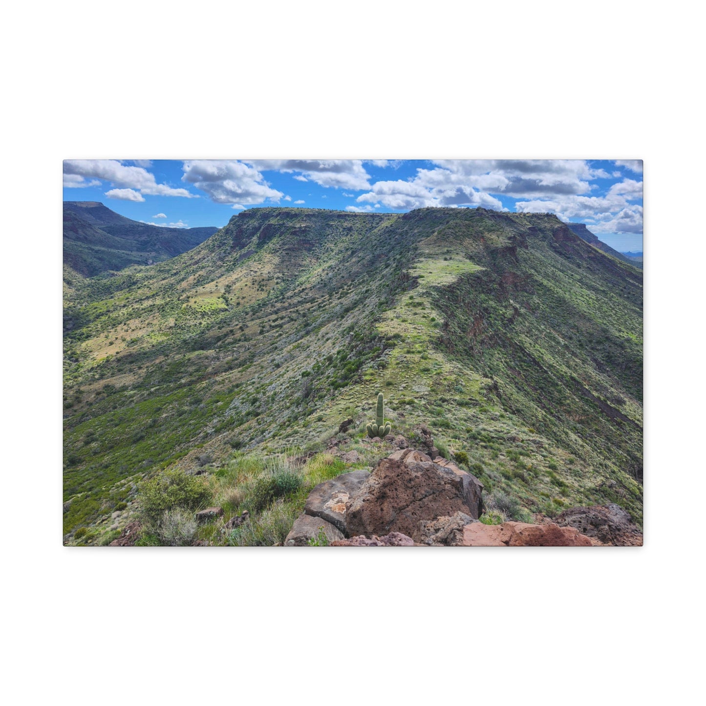 Looking Back at Skull Mesa; Arizona Photography, Wall Art, Natural Landscape Home Decor for Hikers and Nature Lovers!