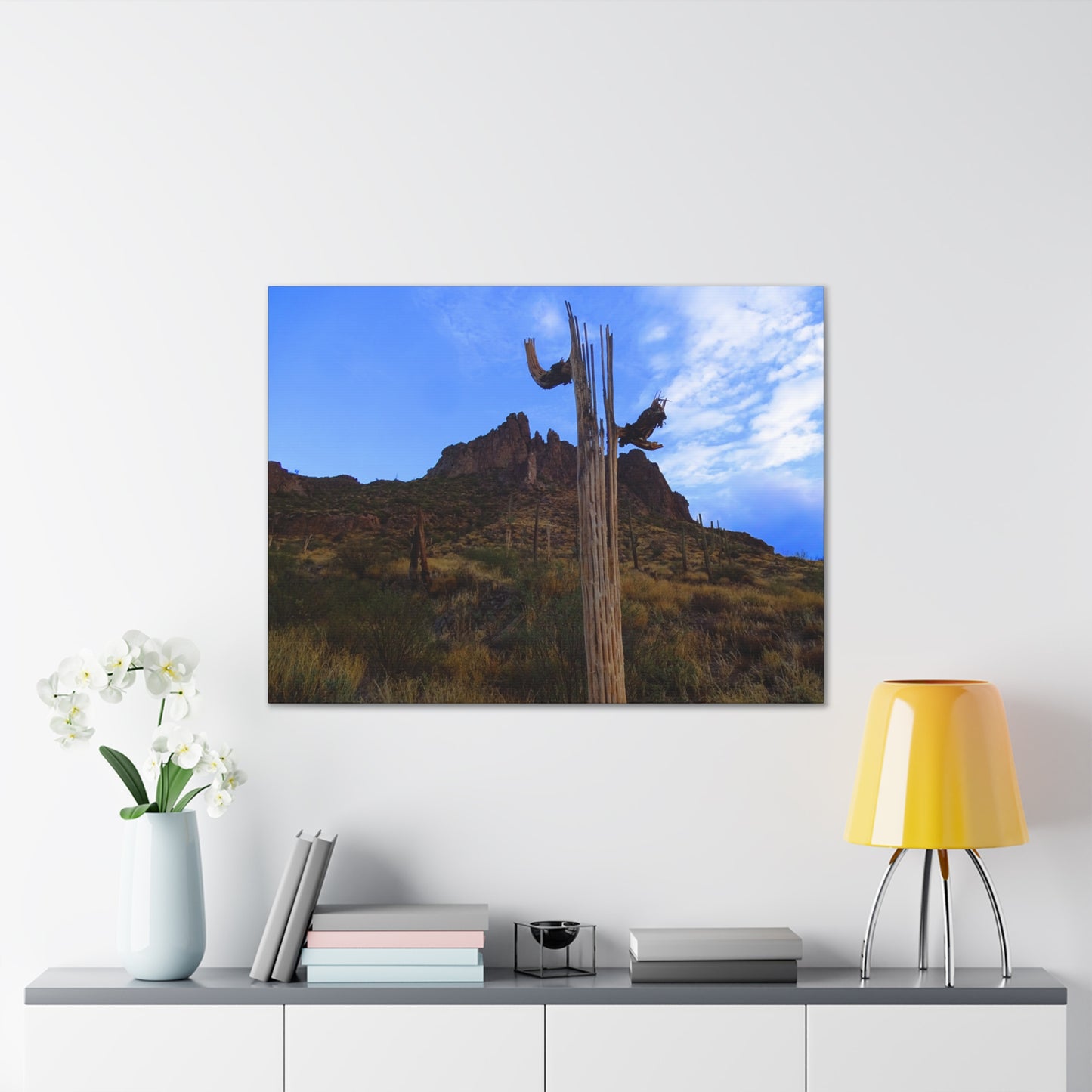 Canvas Gallery Wrap: Saguaro Skeleton; Arizona Photography, Wall Art, Natural Landscape Home Decor for Hikers and Nature Lovers!