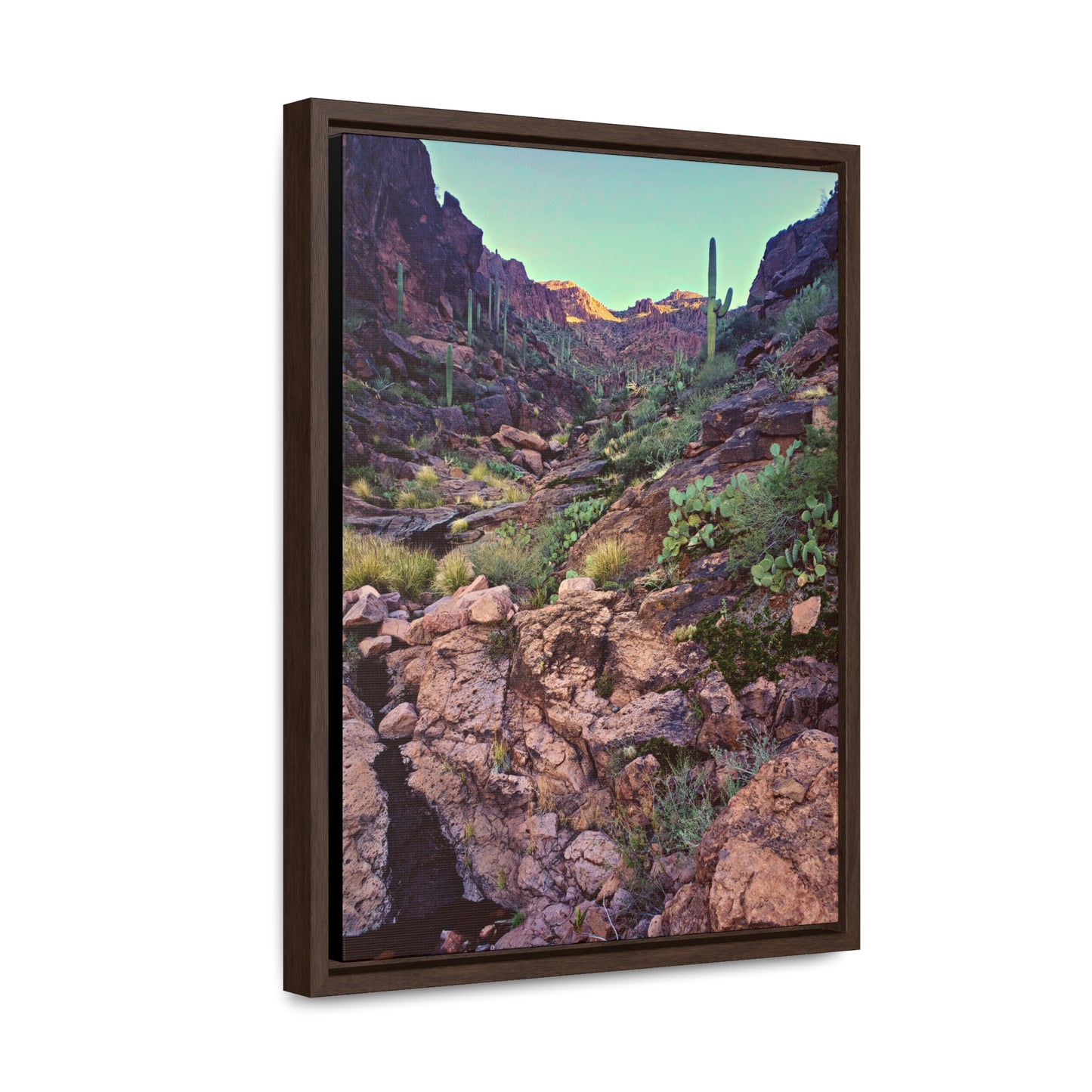 Framed Canvas Gallery Wraps: A View Up the Canyon; Arizona Photography, Wall Art, Natural Landscape Home Decor for Hikers and Nature Lovers!