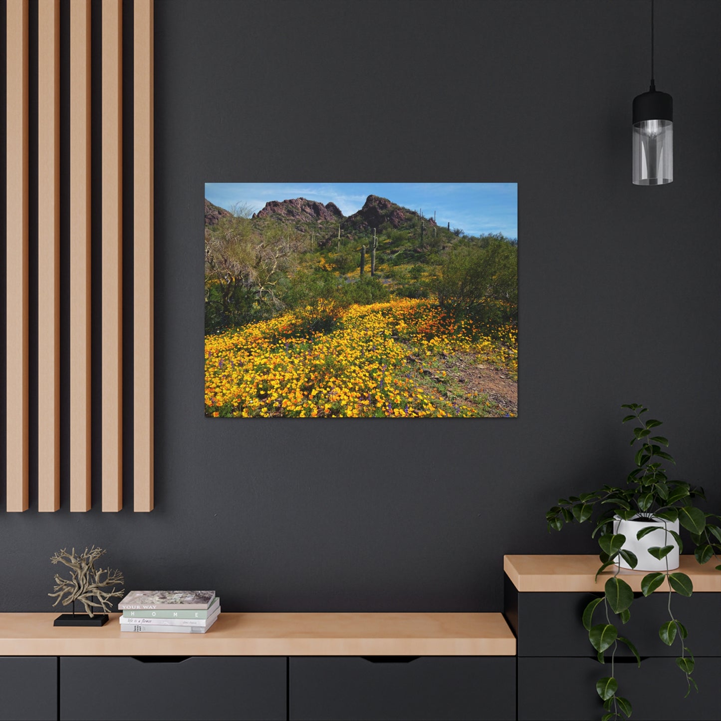 Canvas Gallery Wraps: Desert Wildflowers; Arizona Photography, Wall Art, Natural Landscape Home Decor for Hikers and Nature Lovers!