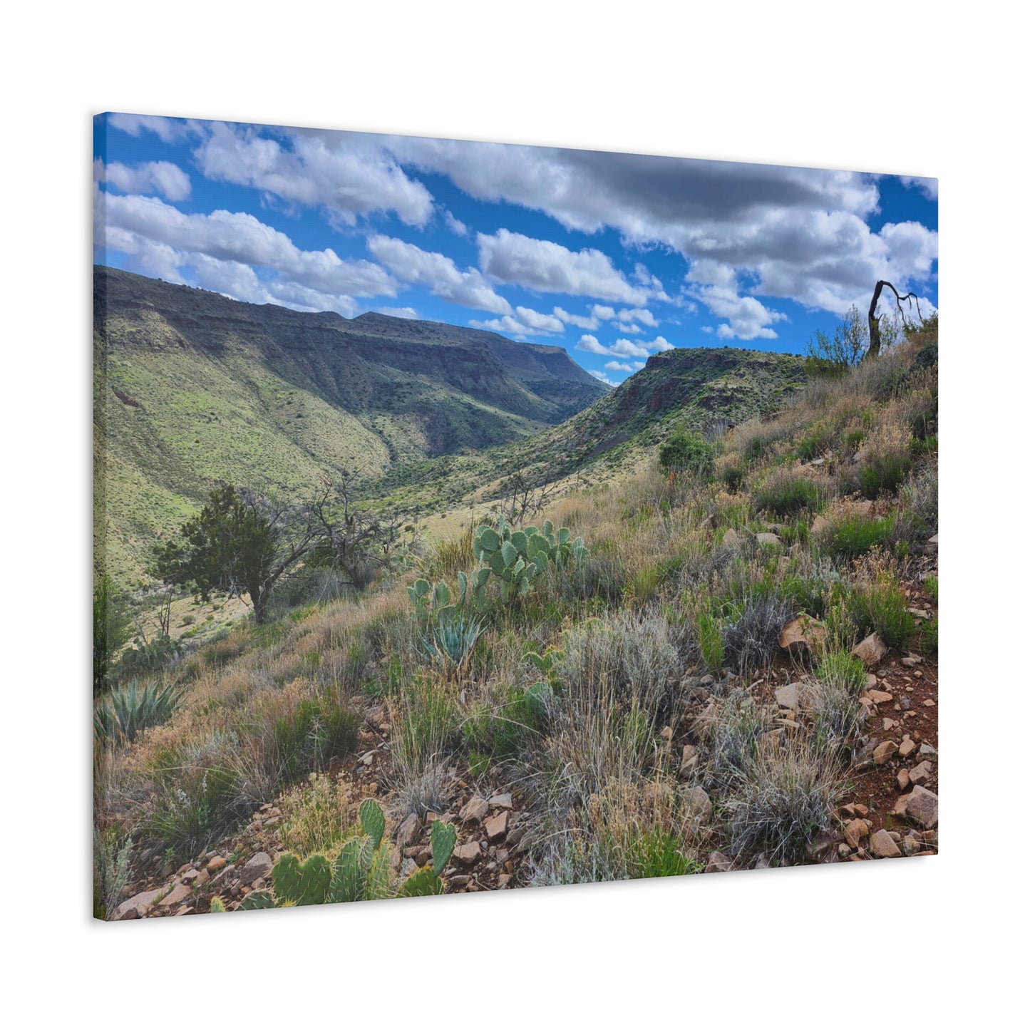 From a Spit off Skull Mesa; Arizona Photography, Wall Art, Natural Landscape Home Decor for Hikers and Nature Lovers!