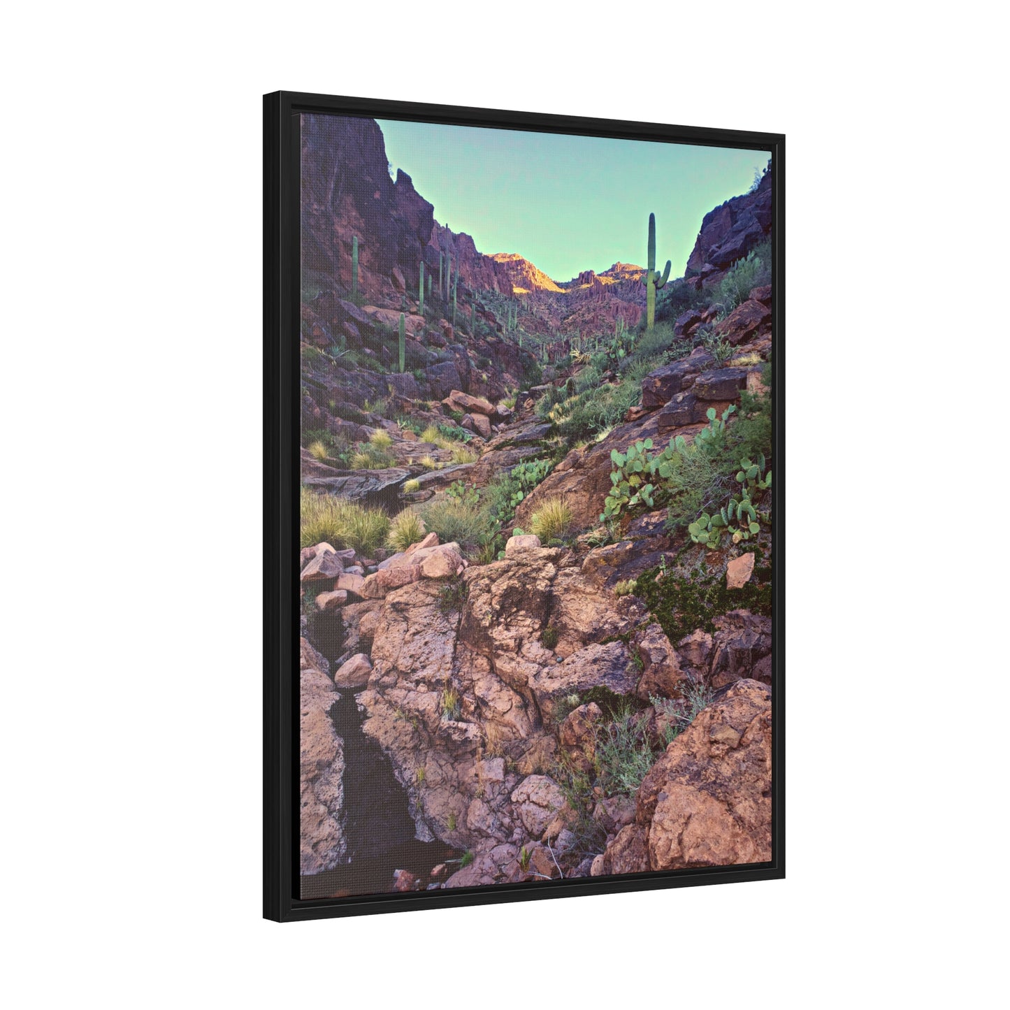 Framed Canvas Gallery Wraps: A View Up the Canyon; Arizona Photography, Wall Art, Natural Landscape Home Decor for Hikers and Nature Lovers!