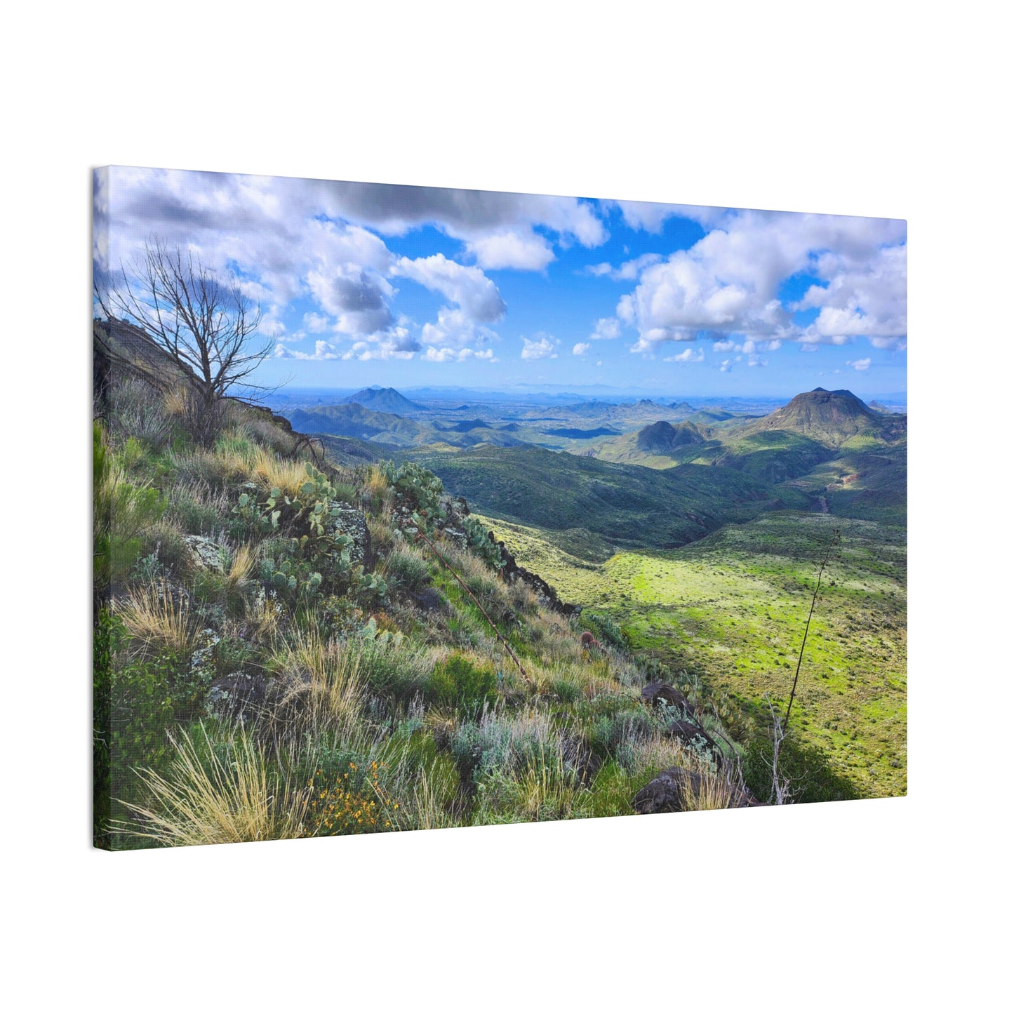 A Gorgeous View from Skull Mesa; Arizona Photography, Wall Art, Natural Landscape Home Decor for Hikers and Nature Lovers!