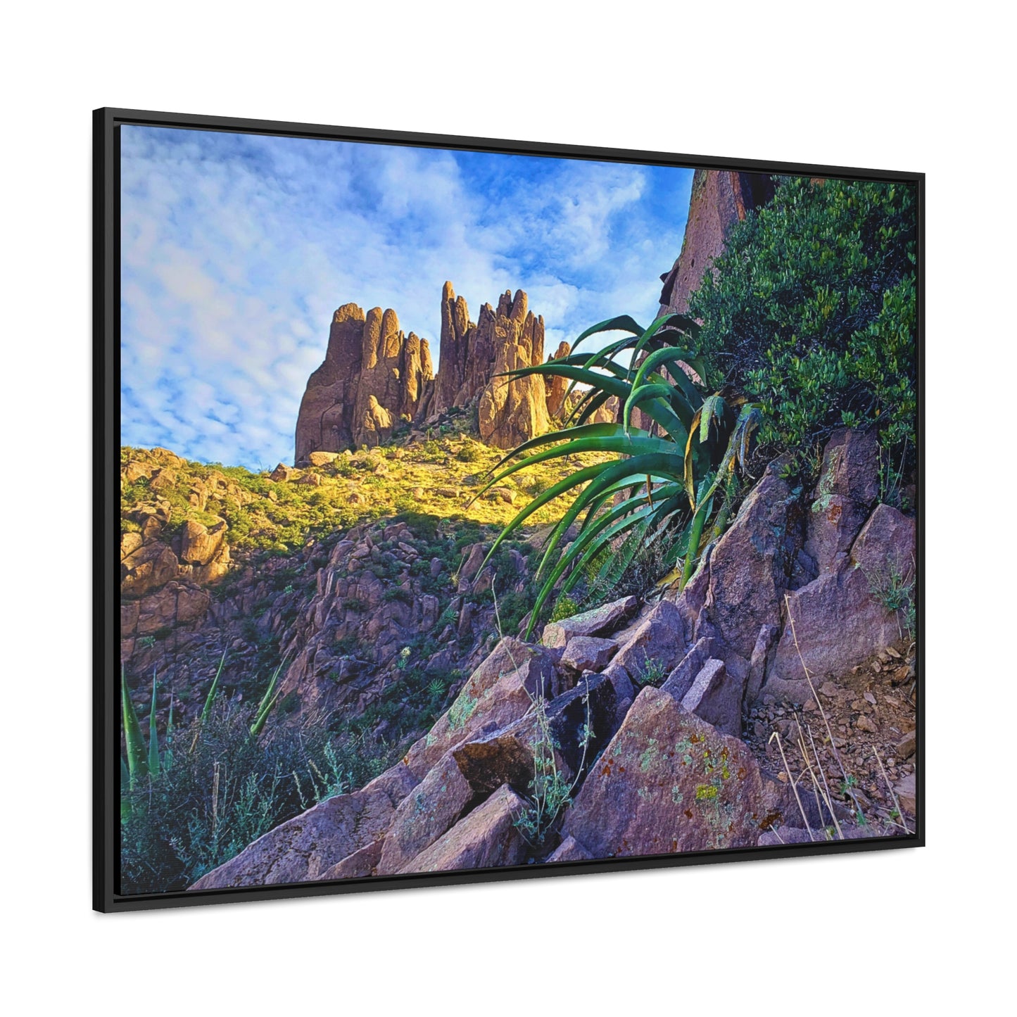 Framed Canvas Print: Succulents and Spires; Arizona Photography, Wall Art, Natural Landscape Home Decor for Hikers and Nature Lovers!