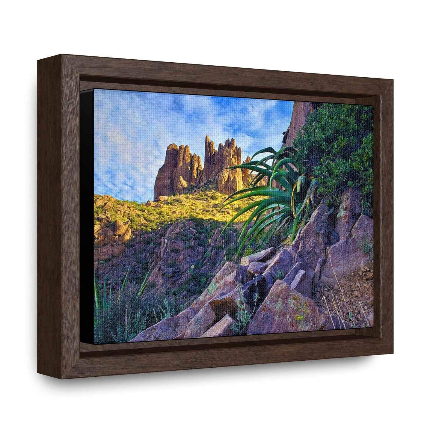 Framed Canvas Print: Succulents and Spires; Arizona Photography, Wall Art, Natural Landscape Home Decor for Hikers and Nature Lovers!