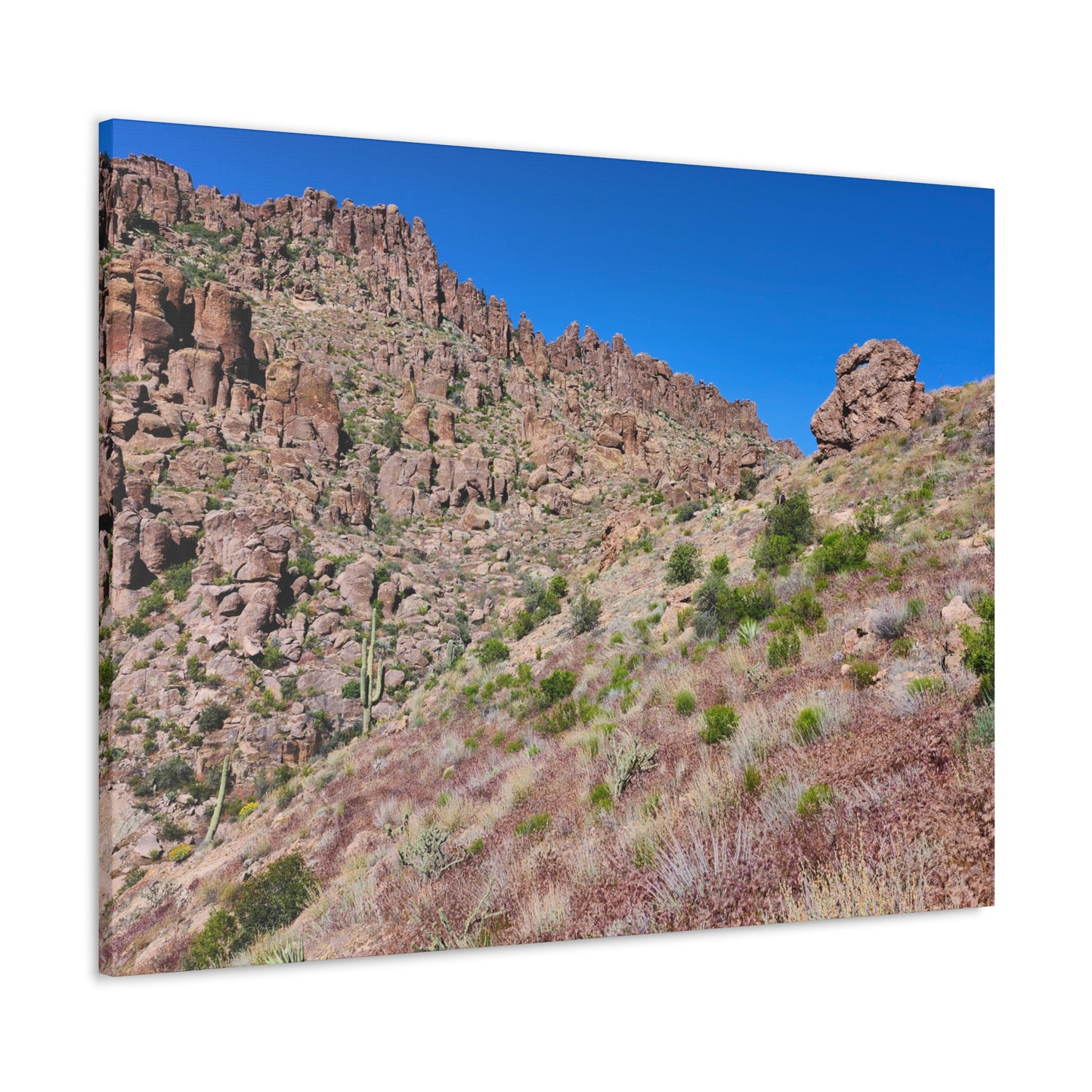 Beyond the Fremont Saddle (#2); Arizona Photography, Wall Art, Natural Landscape Home Decor for Hikers and Nature Lovers!