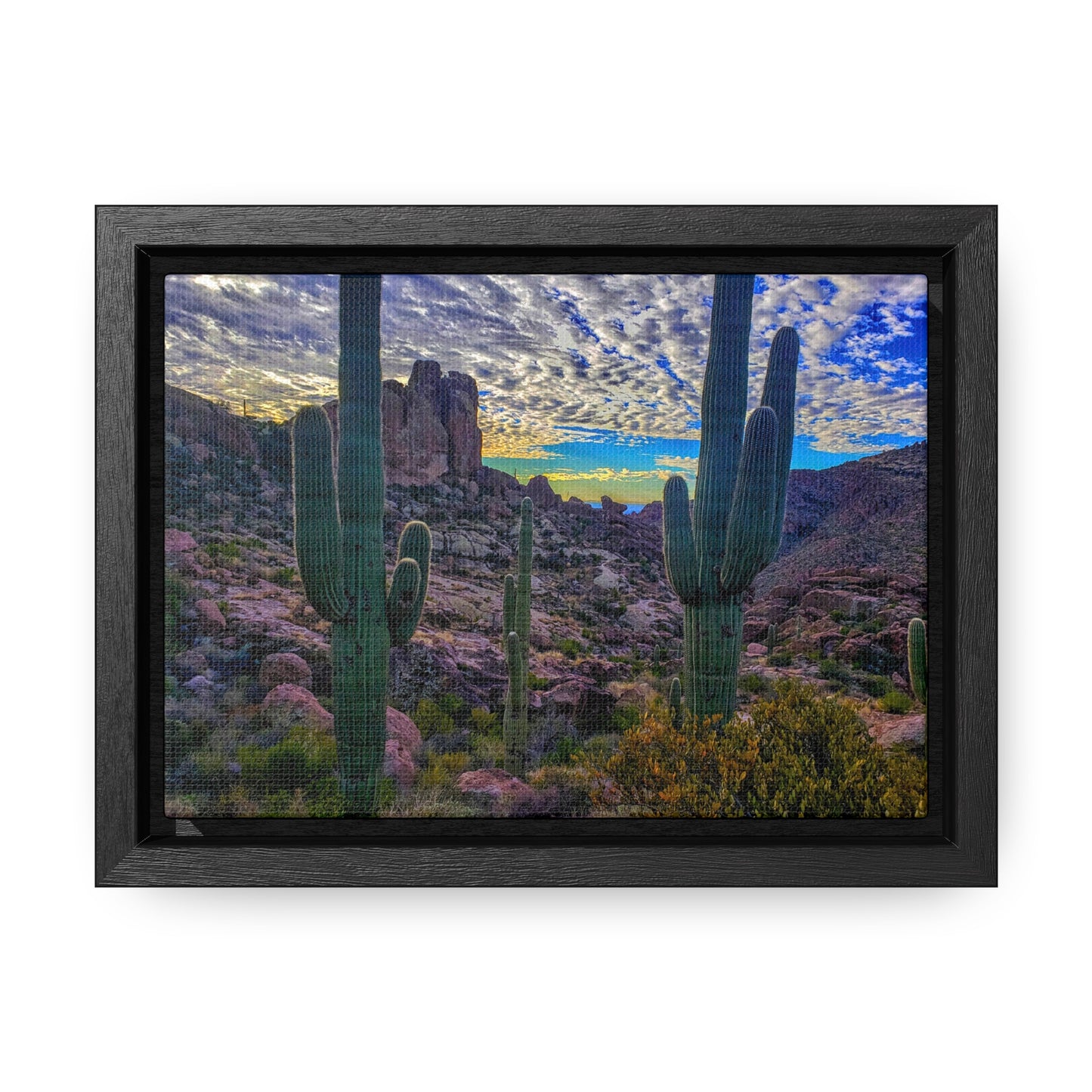 Framed Canvas Gallery Wraps: Mountaintop Saguaros; Arizona Photography, Wall Art, Natural Landscape Home Decor for Hikers and Nature Lovers!