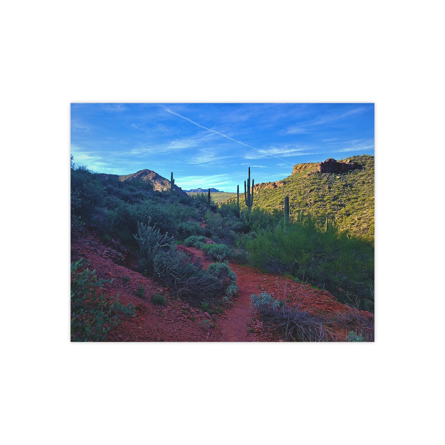 Arizona Poster Print: The Vibrant Desert; Arizona Photography, Wall Art, Natural Landscape Home Decor for Hikers and Nature Lovers!