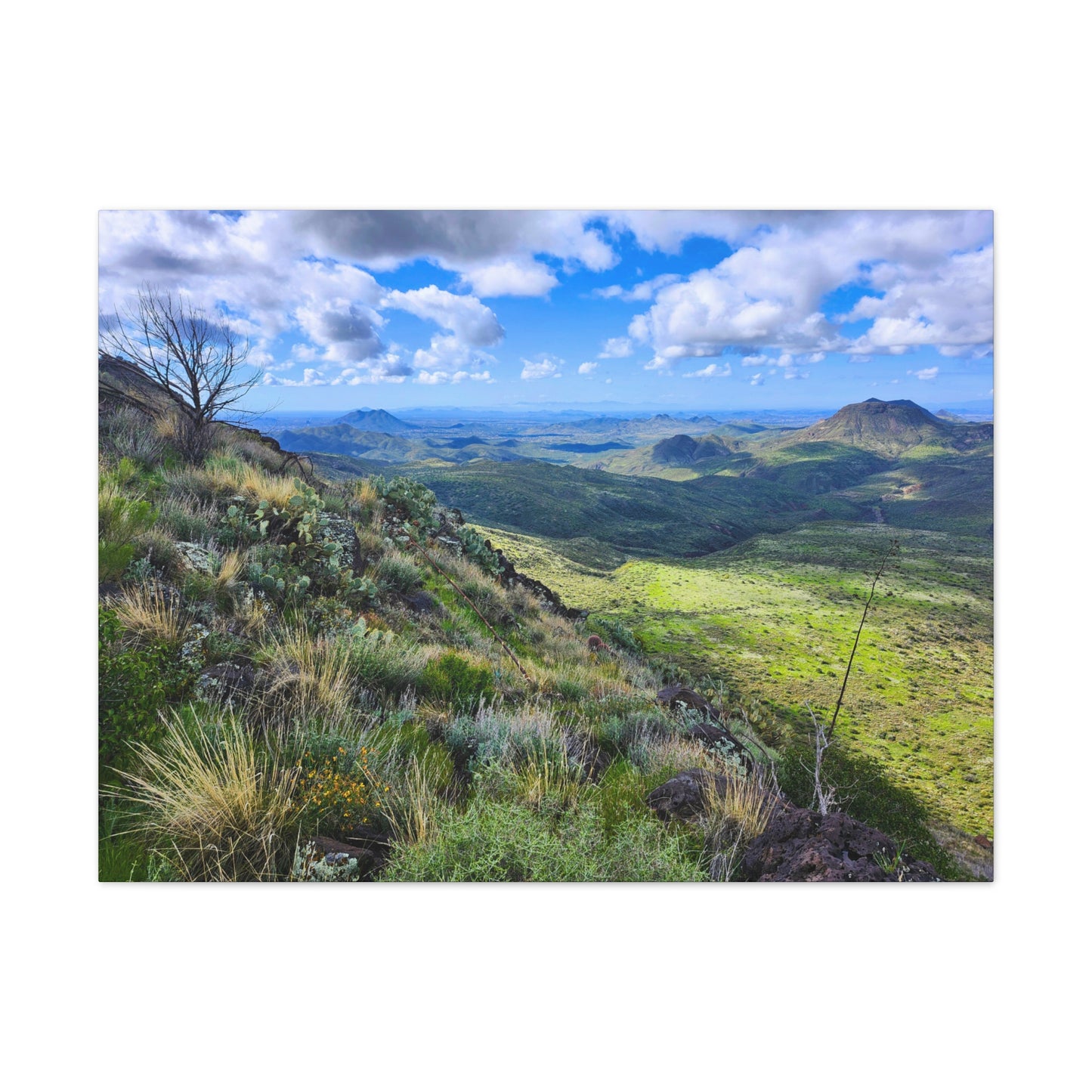A Gorgeous View from Skull Mesa; Arizona Photography, Wall Art, Natural Landscape Home Decor for Hikers and Nature Lovers!
