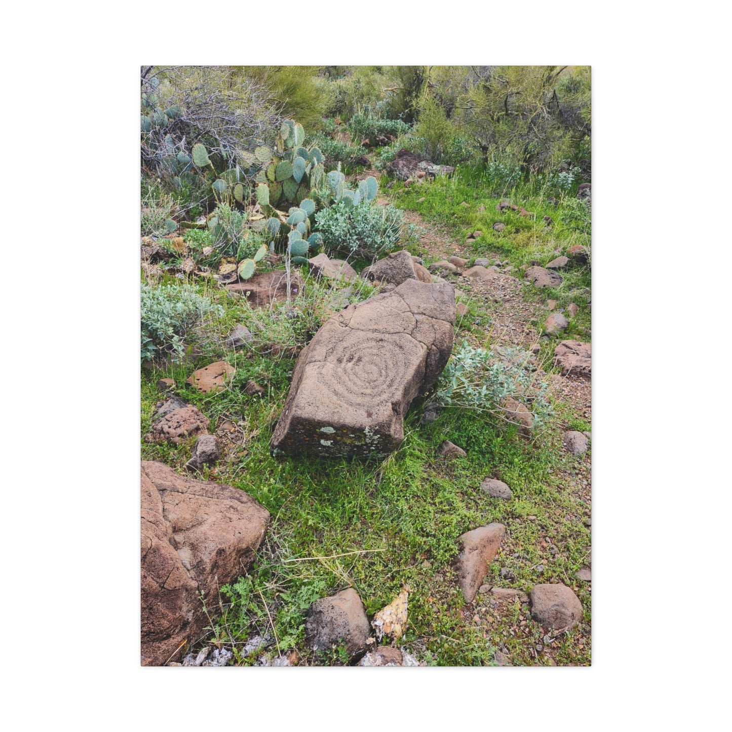 Petroglyphs of the Sonoran Desert; Arizona Photography, Wall Art, Natural Landscape Home Decor for Hikers and Nature Lovers!