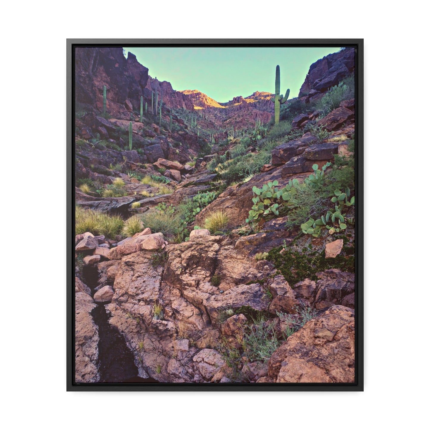 Framed Canvas Gallery Wraps: A View Up the Canyon; Arizona Photography, Wall Art, Natural Landscape Home Decor for Hikers and Nature Lovers!