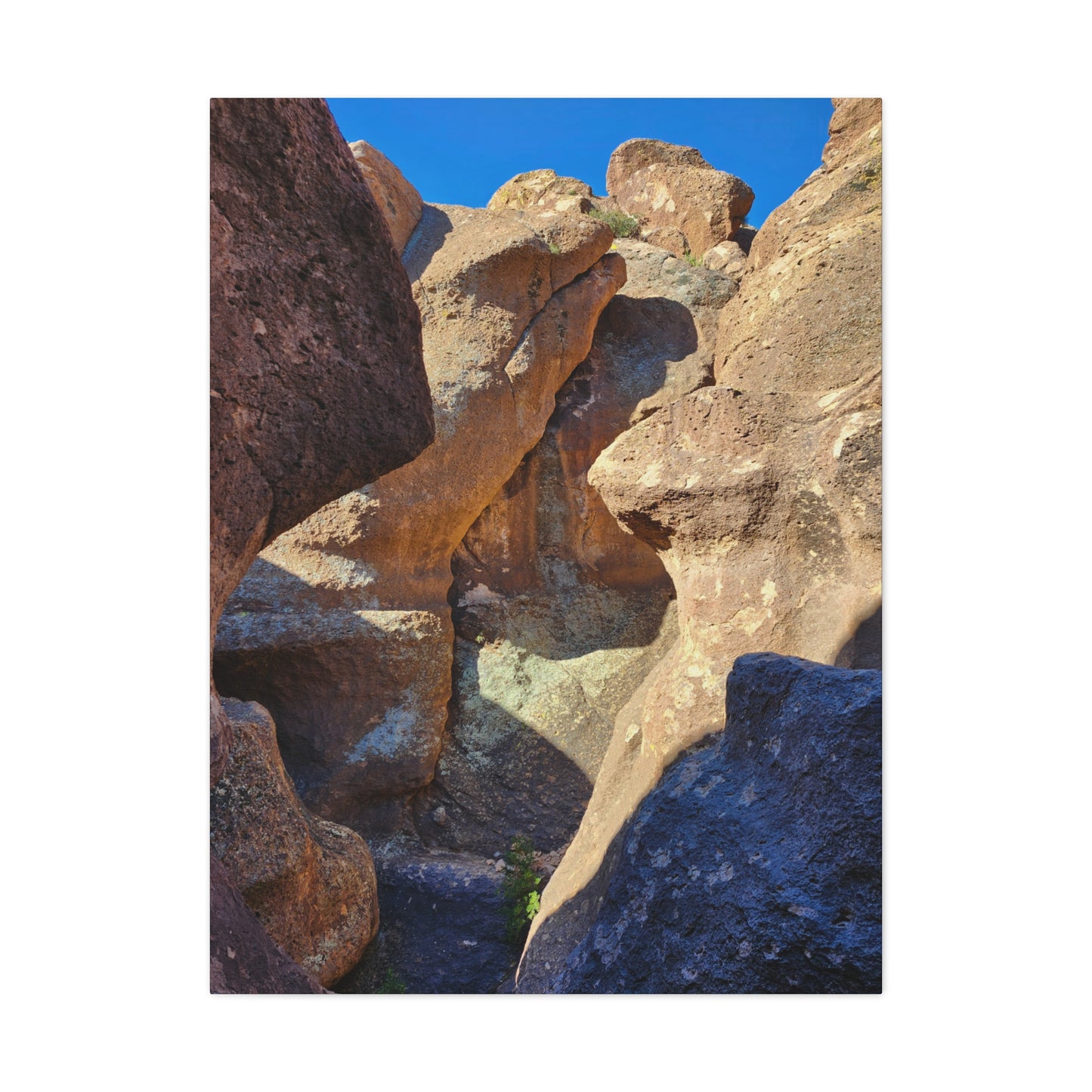 Dinosaurs in Stone; Arizona Photography, Wall Art, Natural Landscape Home Decor for Hikers and Nature Lovers!