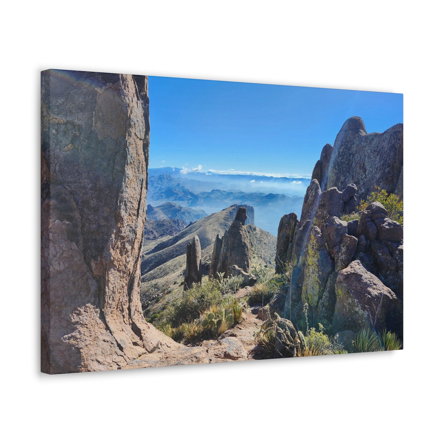 Amongst Giants in the Superstition Mountains; Arizona Photography, Wall Art, Natural Landscape Home Decor for Hikers and Nature Lovers!