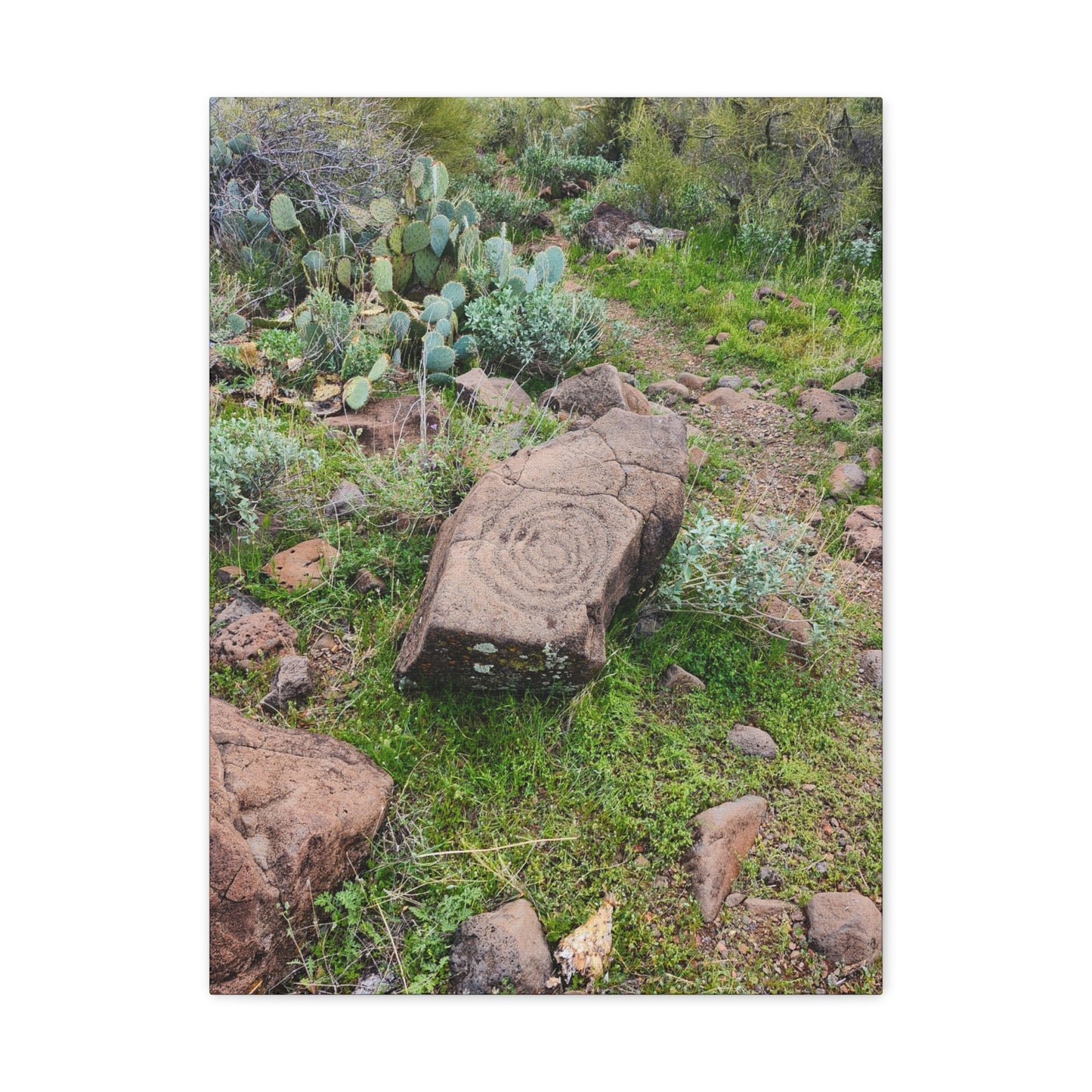 Petroglyphs of the Sonoran Desert; Arizona Photography, Wall Art, Natural Landscape Home Decor for Hikers and Nature Lovers!