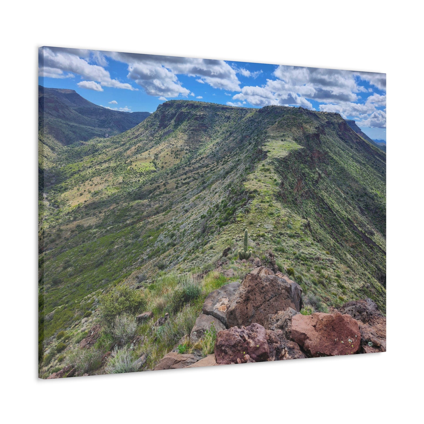 Looking Back at Skull Mesa; Arizona Photography, Wall Art, Natural Landscape Home Decor for Hikers and Nature Lovers!