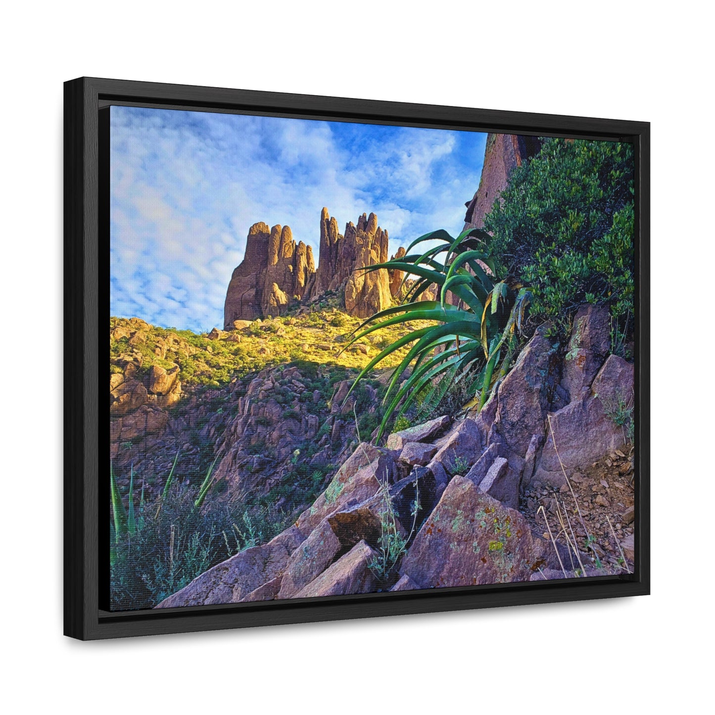 Framed Canvas Print: Succulents and Spires; Arizona Photography, Wall Art, Natural Landscape Home Decor for Hikers and Nature Lovers!