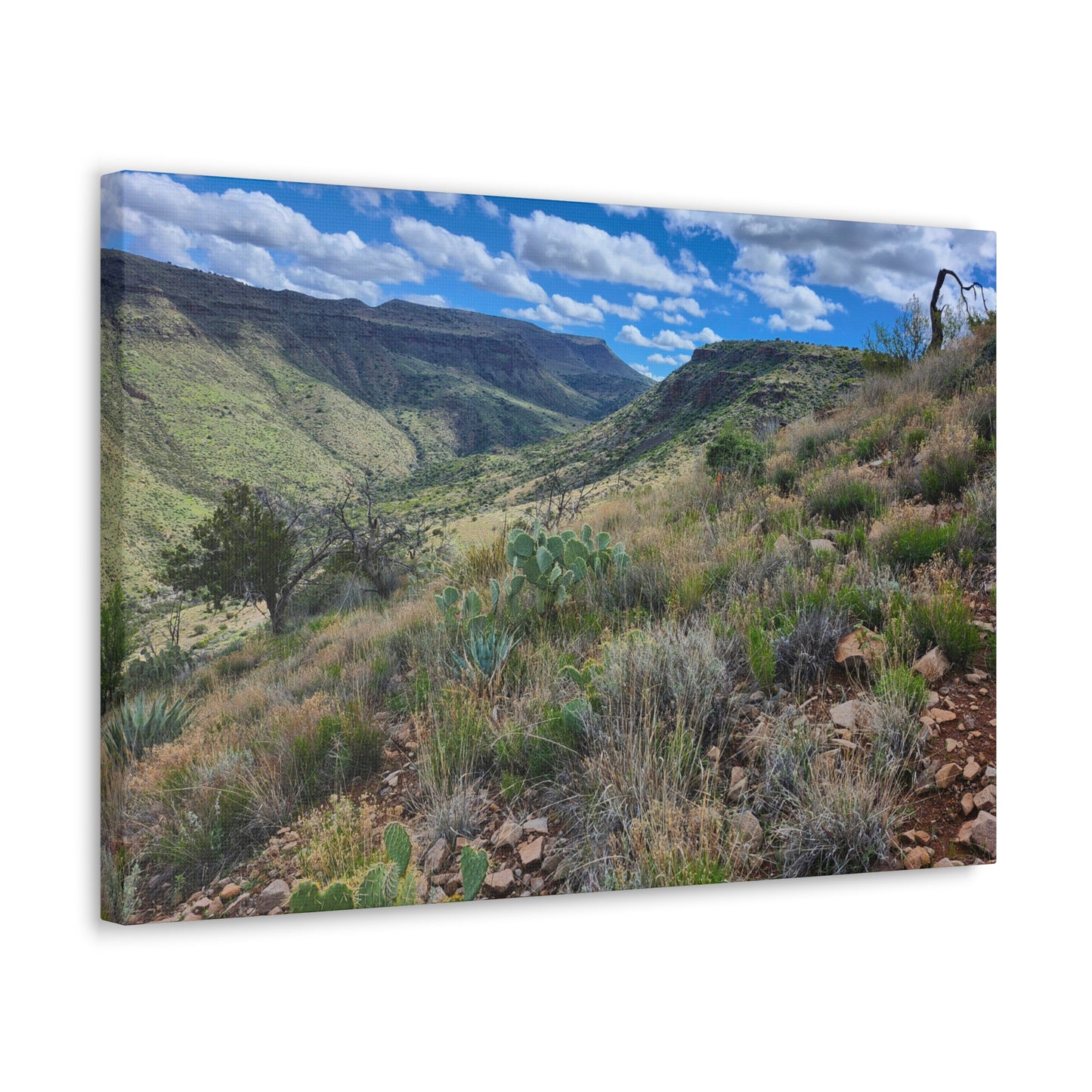 From a Spit off Skull Mesa; Arizona Photography, Wall Art, Natural Landscape Home Decor for Hikers and Nature Lovers!