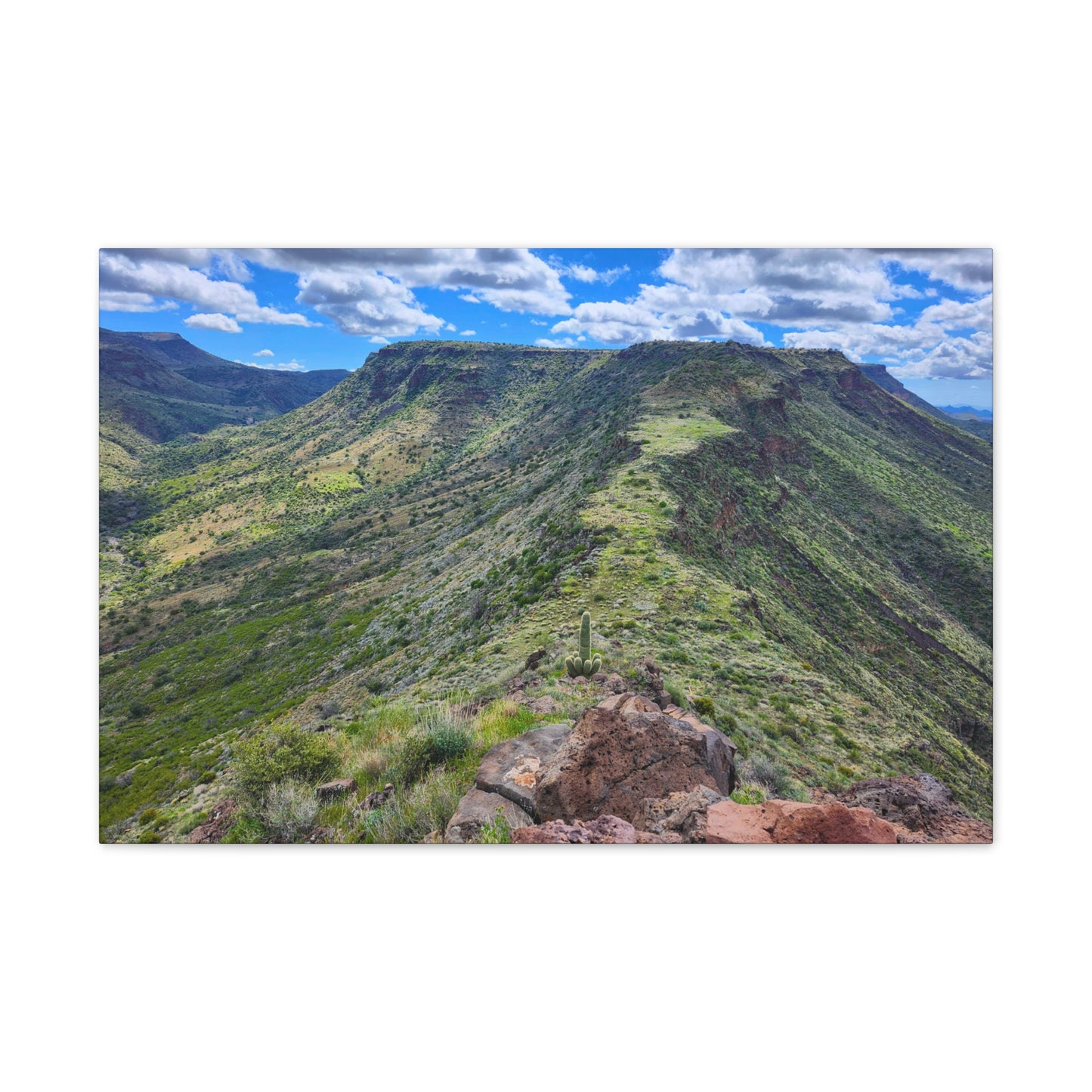 Looking Back at Skull Mesa; Arizona Photography, Wall Art, Natural Landscape Home Decor for Hikers and Nature Lovers!