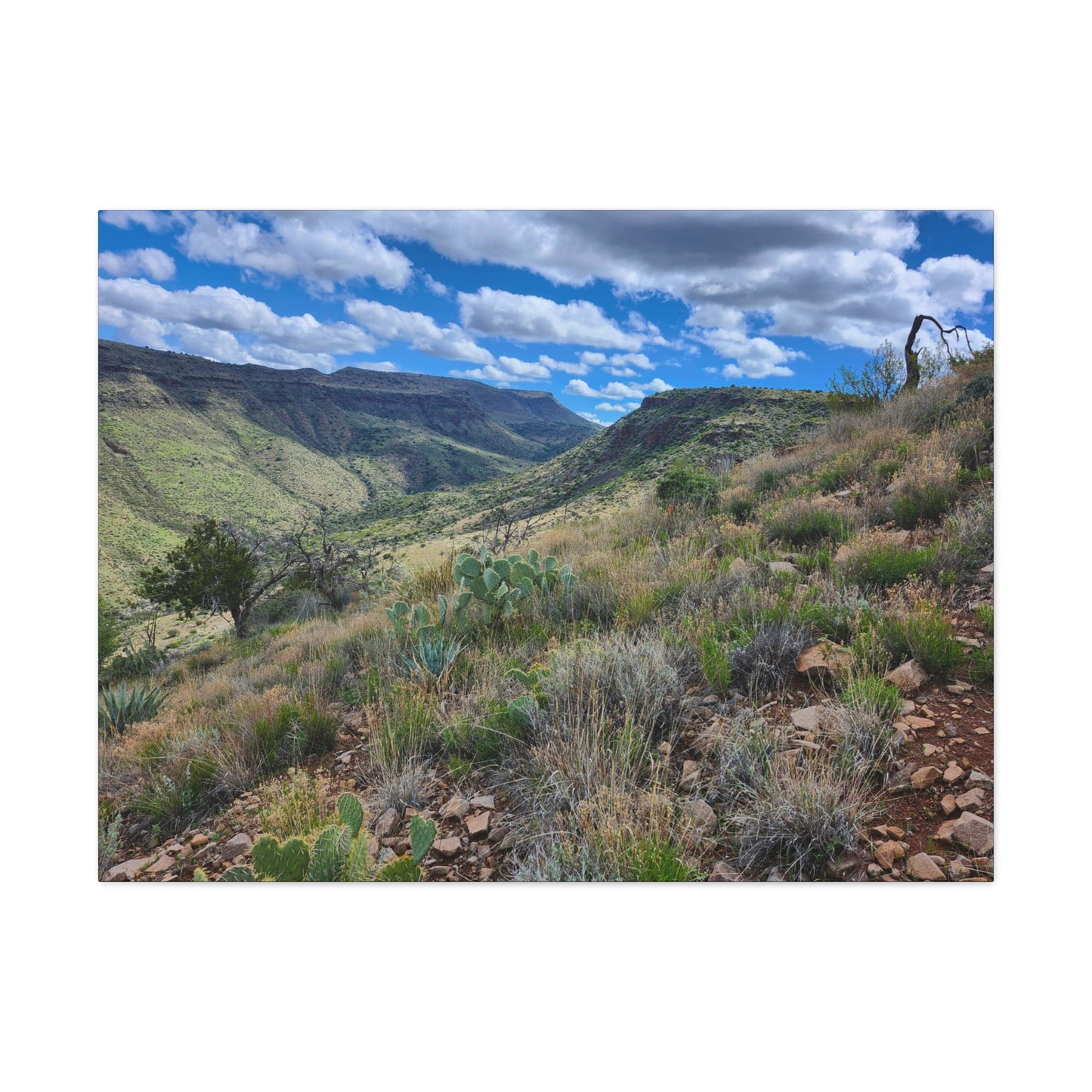 From a Spit off Skull Mesa; Arizona Photography, Wall Art, Natural Landscape Home Decor for Hikers and Nature Lovers!