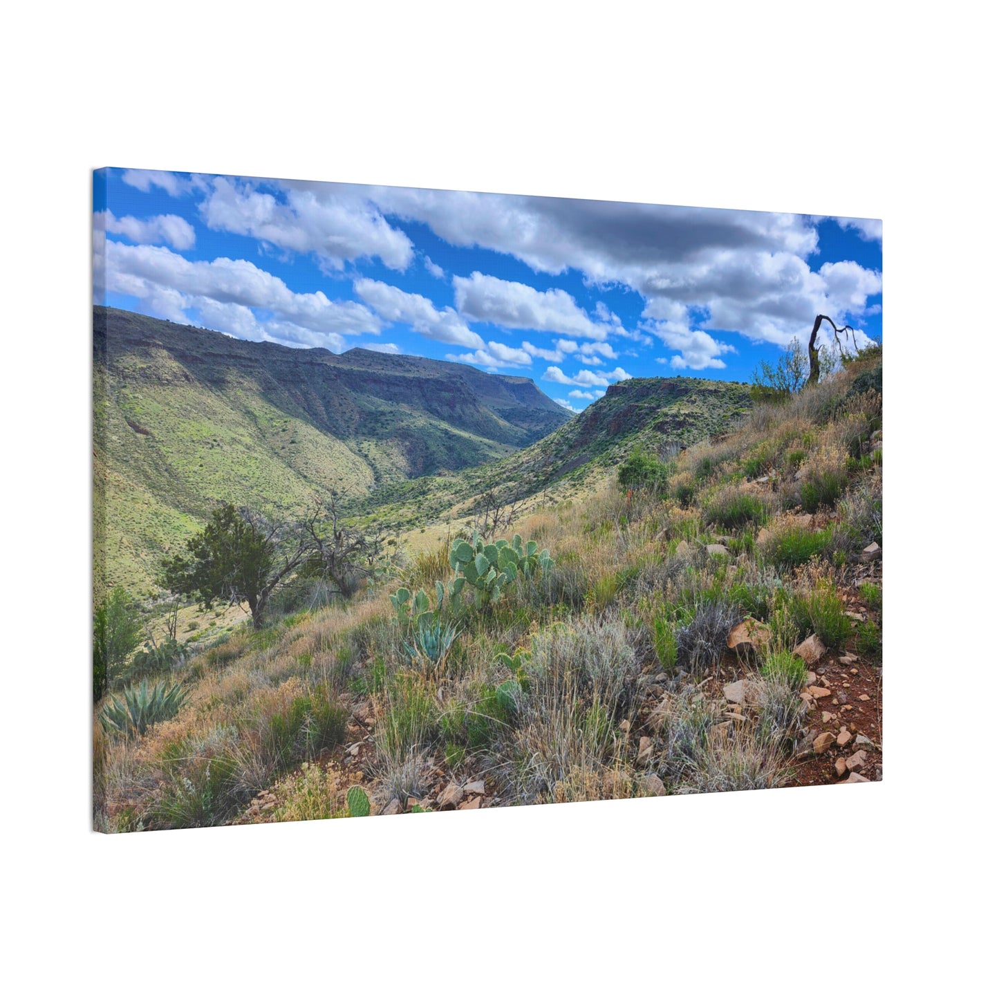 From a Spit off Skull Mesa; Arizona Photography, Wall Art, Natural Landscape Home Decor for Hikers and Nature Lovers!