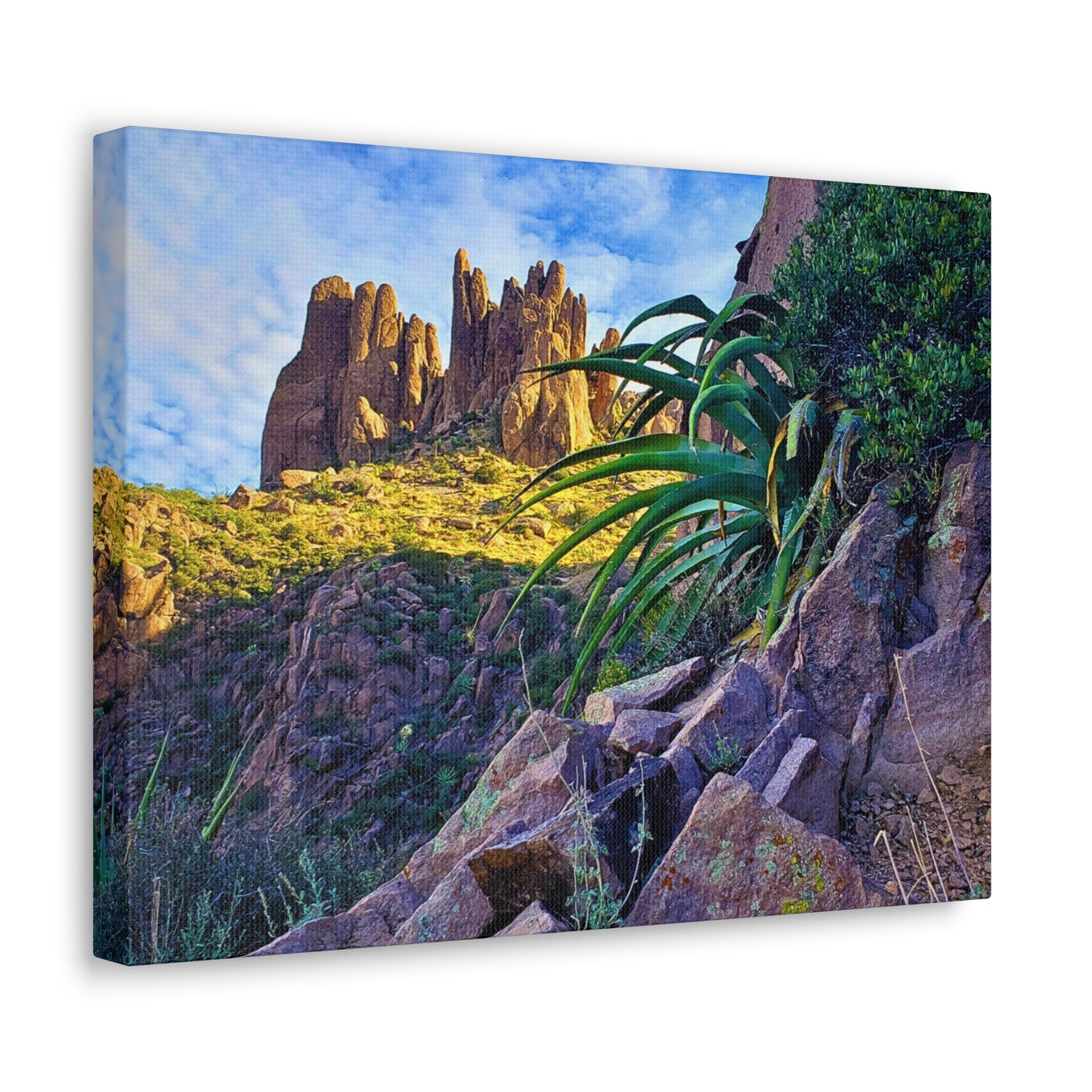 Canvas Gallery Wraps: Succulents and Spires; Arizona Photography, Wall Art, Natural Landscape Home Decor for Hikers and Nature Lovers!