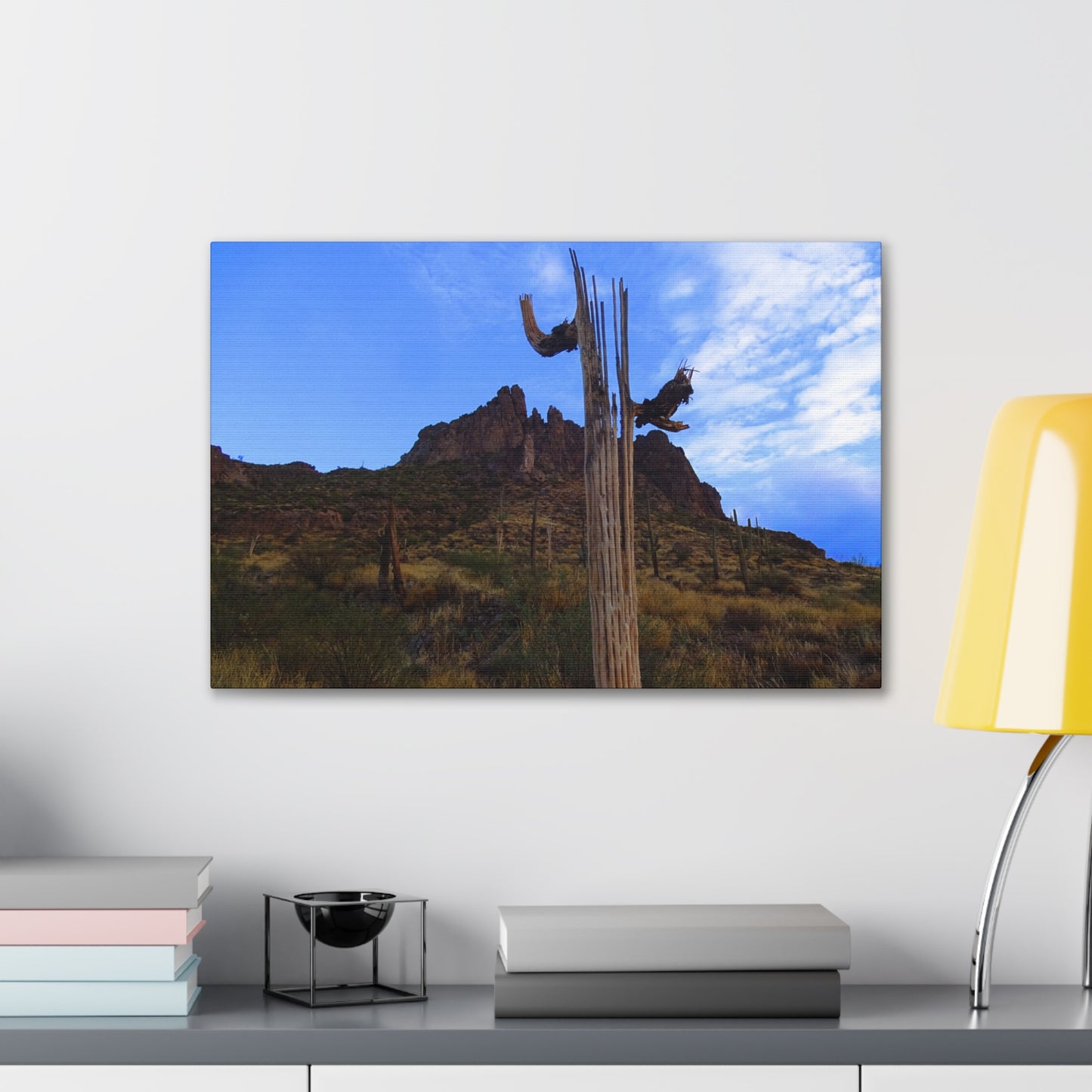 Canvas Gallery Wrap: Saguaro Skeleton; Arizona Photography, Wall Art, Natural Landscape Home Decor for Hikers and Nature Lovers!