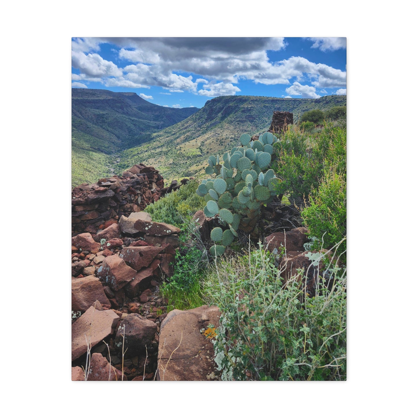 The Ruins of Skull Mesa (#7); Arizona Photography, Wall Art, Natural Landscape Home Decor for Hikers and Nature Lovers!