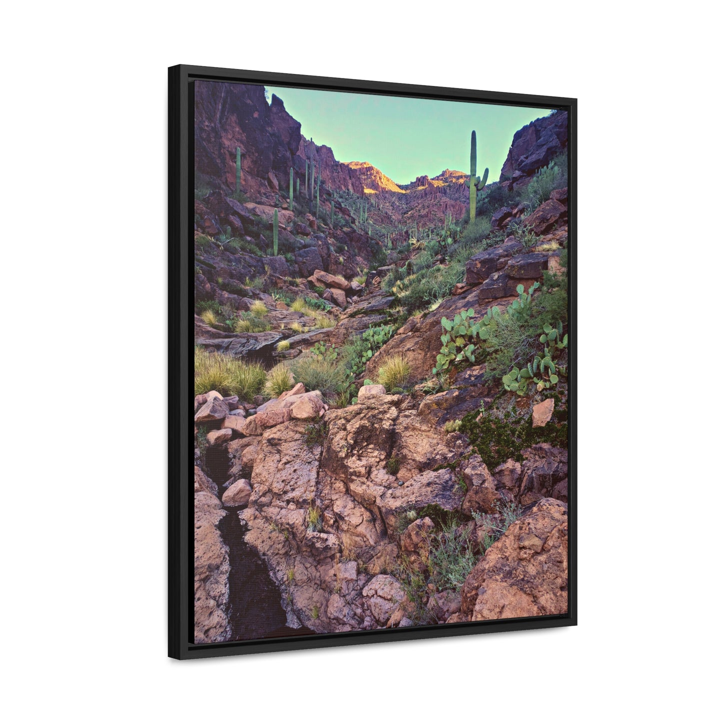 Framed Canvas Gallery Wraps: A View Up the Canyon; Arizona Photography, Wall Art, Natural Landscape Home Decor for Hikers and Nature Lovers!