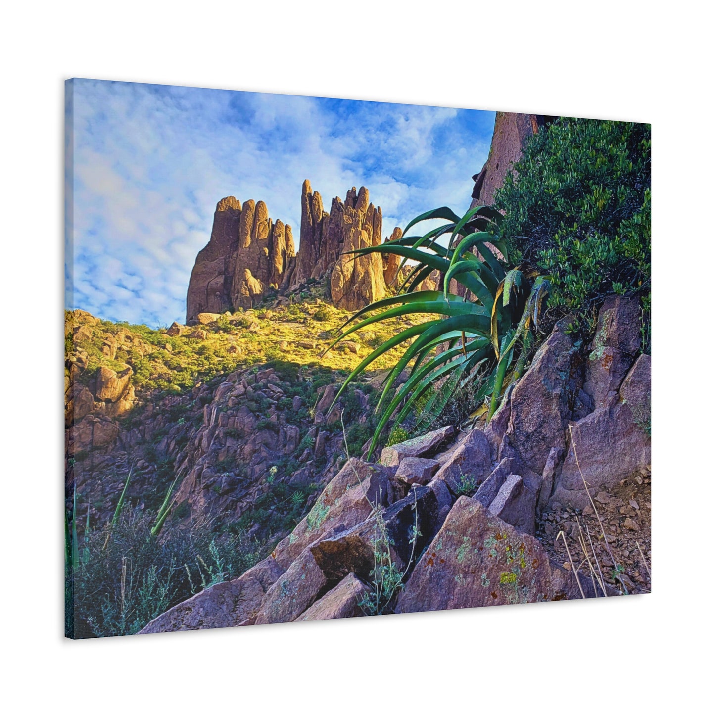 Canvas Gallery Wraps: Succulents and Spires; Arizona Photography, Wall Art, Natural Landscape Home Decor for Hikers and Nature Lovers!