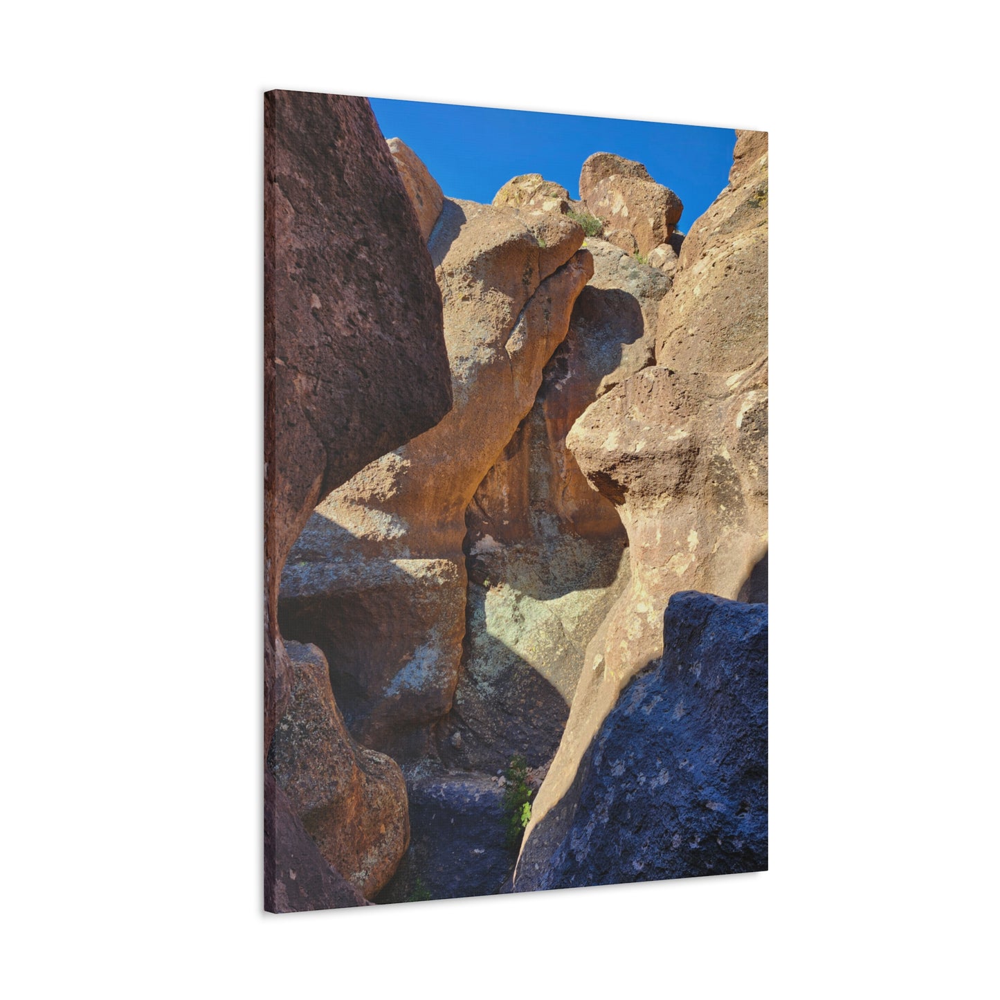 Dinosaurs in Stone; Arizona Photography, Wall Art, Natural Landscape Home Decor for Hikers and Nature Lovers!