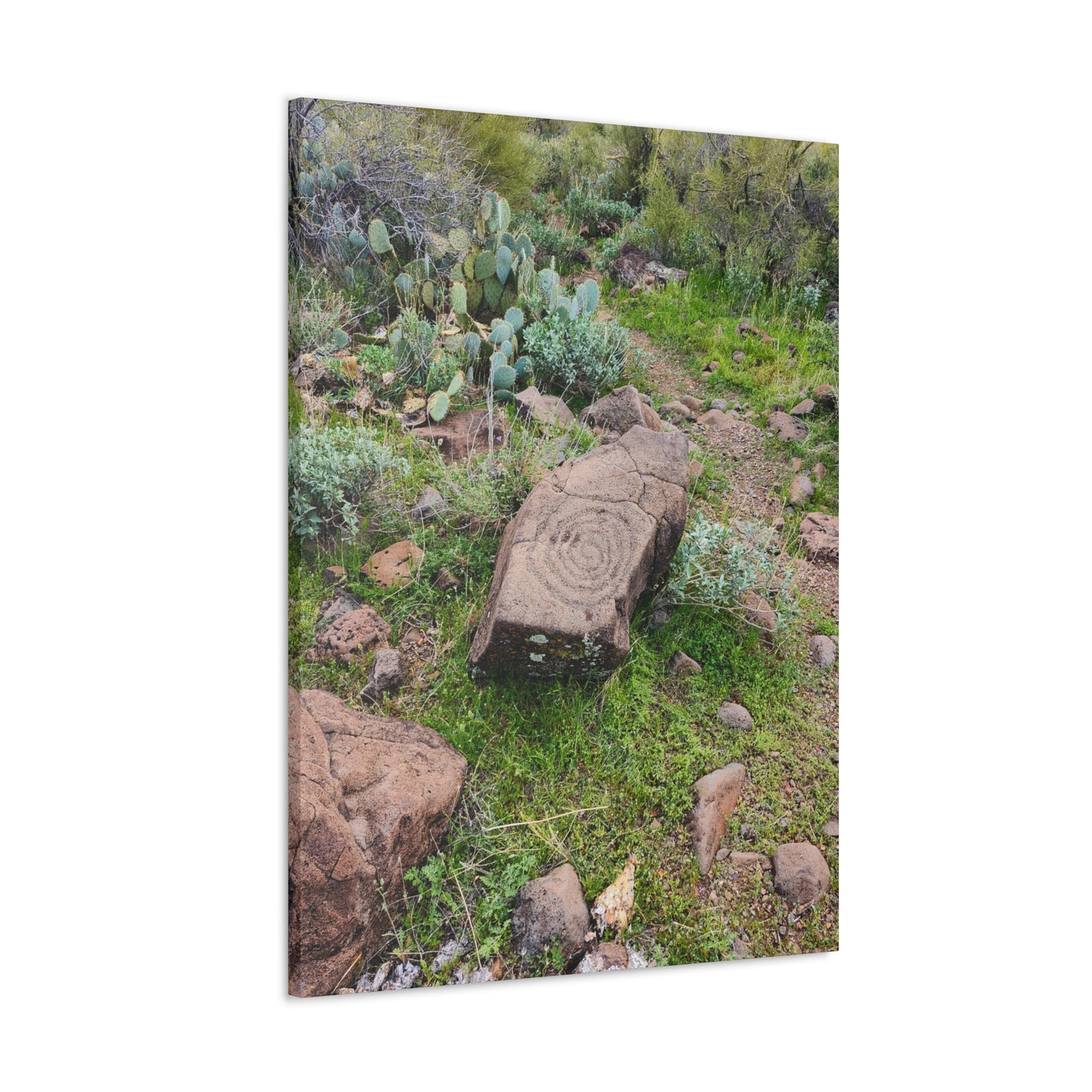 Petroglyphs of the Sonoran Desert; Arizona Photography, Wall Art, Natural Landscape Home Decor for Hikers and Nature Lovers!