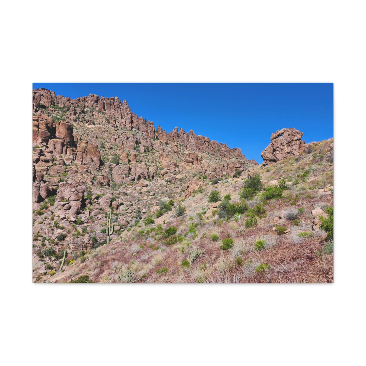 Beyond the Fremont Saddle (#2); Arizona Photography, Wall Art, Natural Landscape Home Decor for Hikers and Nature Lovers!