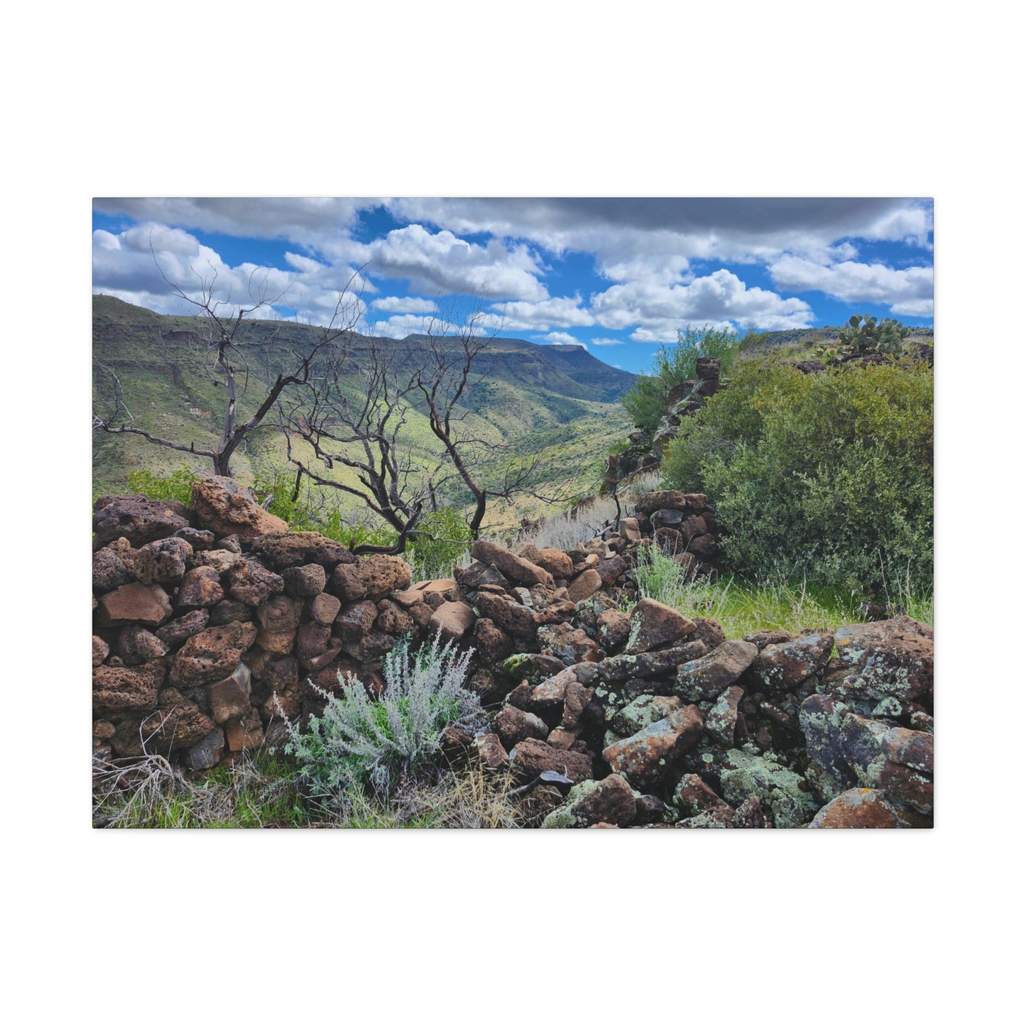 The Ruins of Skull Mesa (#5); Arizona Photography, Wall Art, Natural Landscape Home Decor for Hikers and Nature Lovers!