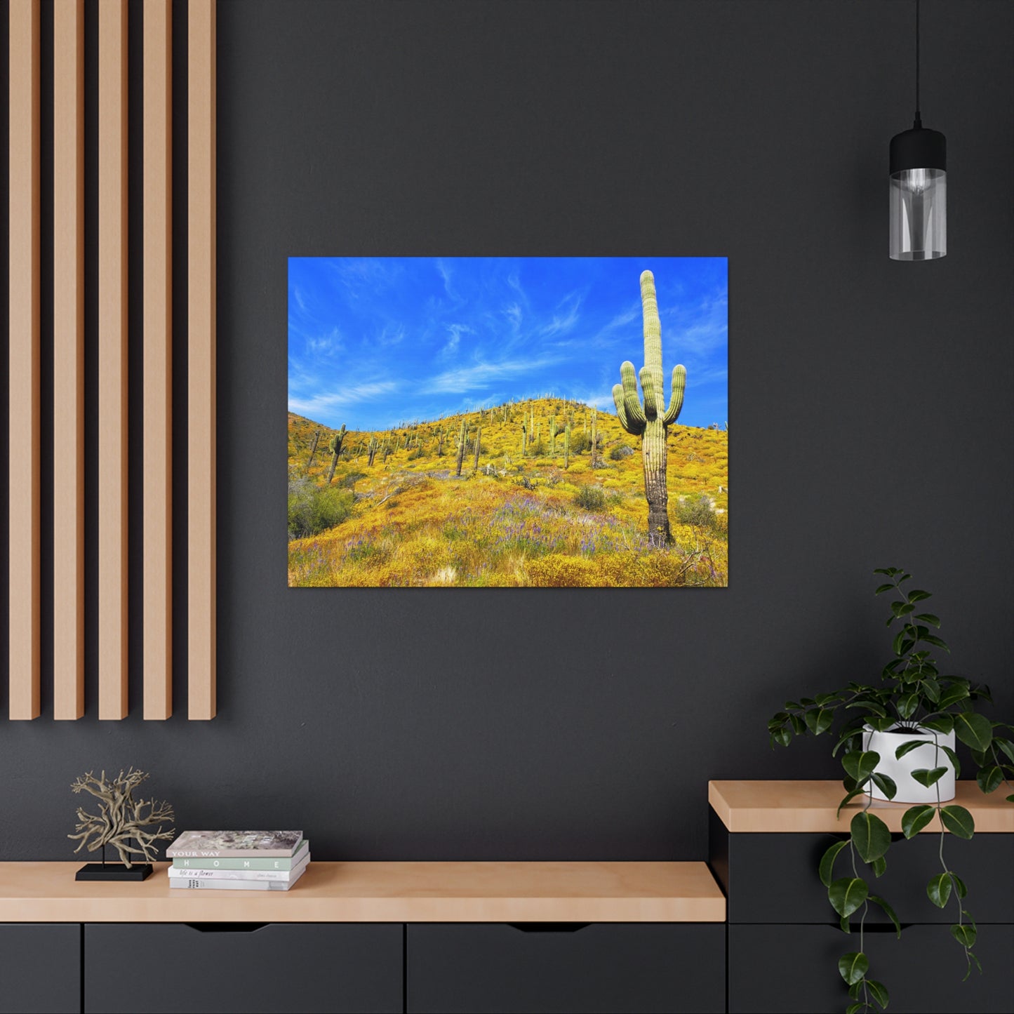 Canvas Gallery Wrap: Cave Creek Blooms; Arizona Photography, Wall Art, Natural Landscape Home Decor for Hikers and Nature Lovers!