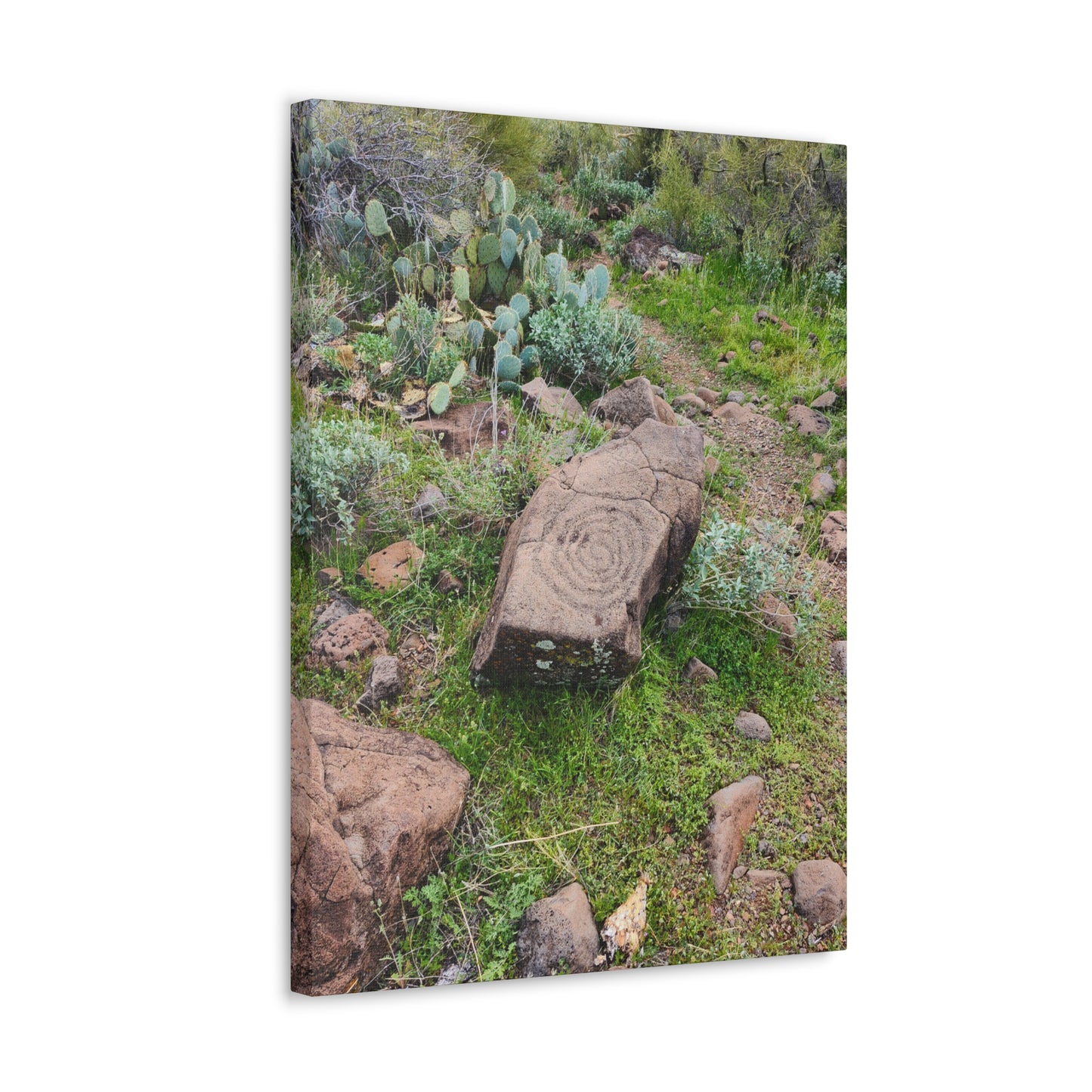 Petroglyphs of the Sonoran Desert; Arizona Photography, Wall Art, Natural Landscape Home Decor for Hikers and Nature Lovers!