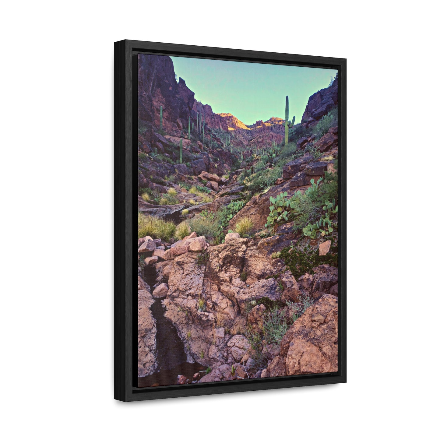 Framed Canvas Gallery Wraps: A View Up the Canyon; Arizona Photography, Wall Art, Natural Landscape Home Decor for Hikers and Nature Lovers!