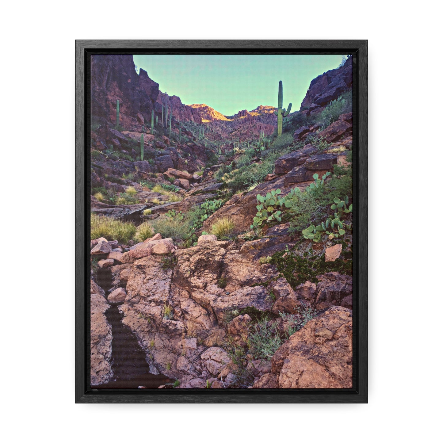 Framed Canvas Gallery Wraps: A View Up the Canyon; Arizona Photography, Wall Art, Natural Landscape Home Decor for Hikers and Nature Lovers!