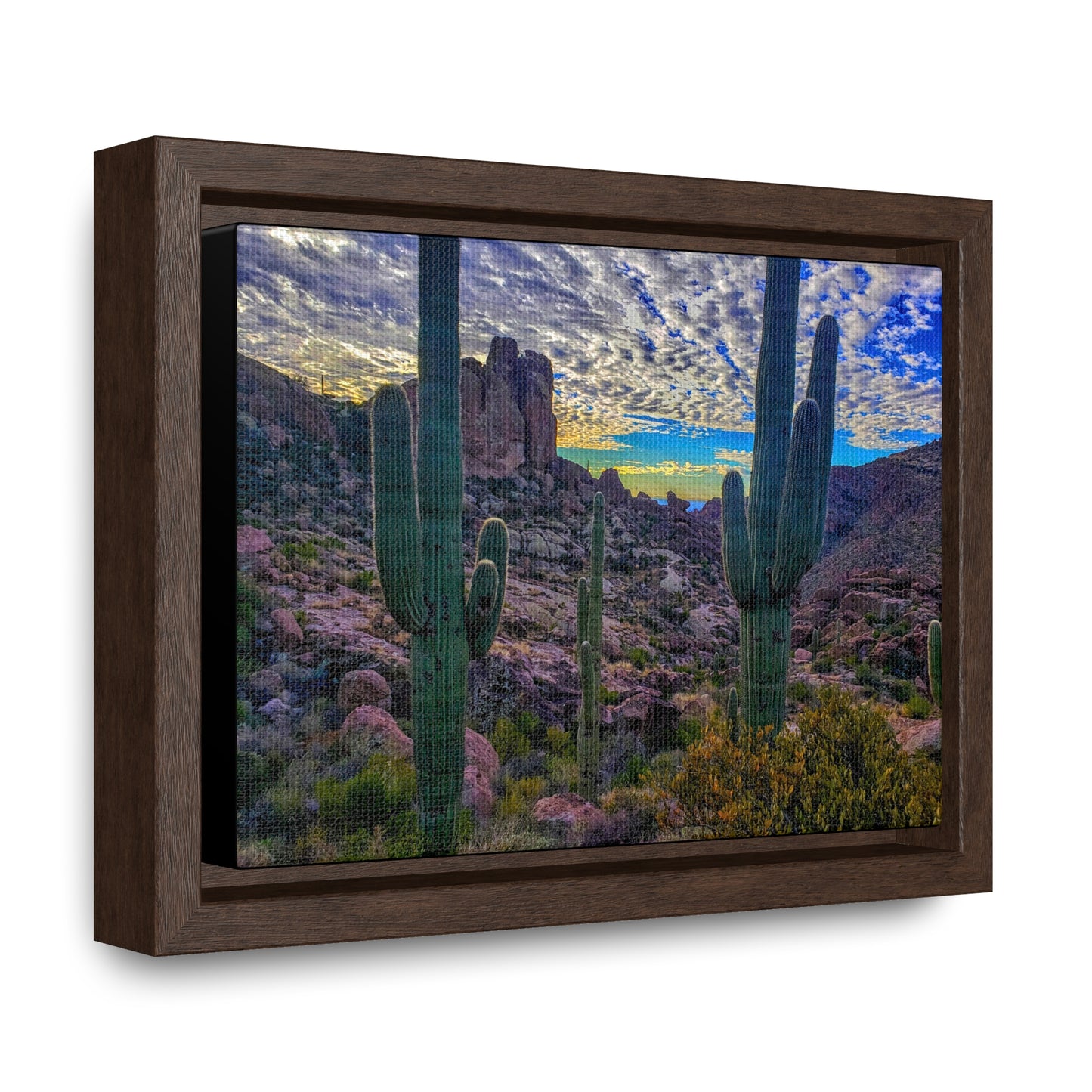 Framed Canvas Gallery Wraps: Mountaintop Saguaros; Arizona Photography, Wall Art, Natural Landscape Home Decor for Hikers and Nature Lovers!