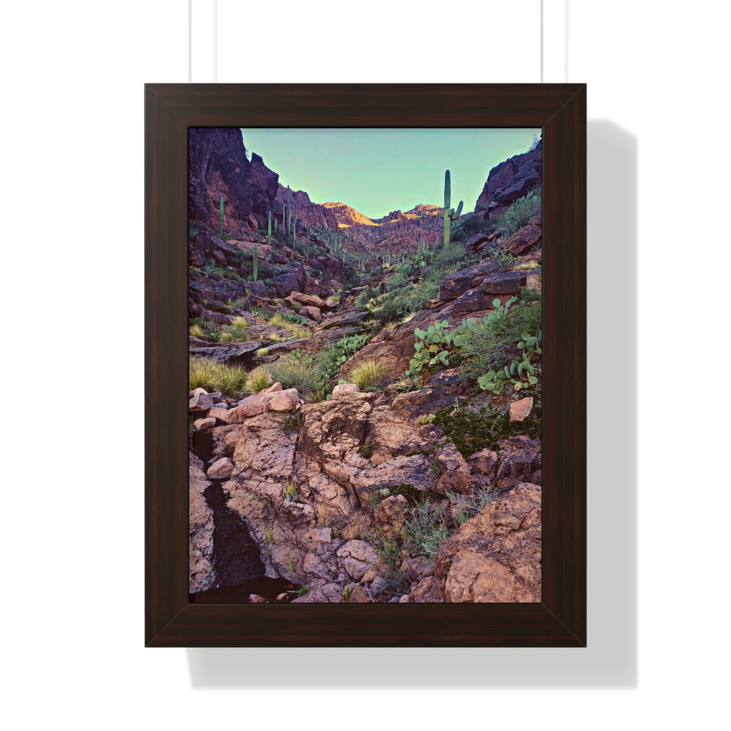 Framed Desert Photography: A View Up the Canyon; Arizona Photography, Wall Art, Natural Landscape Home Decor for Hikers and Nature Lovers!