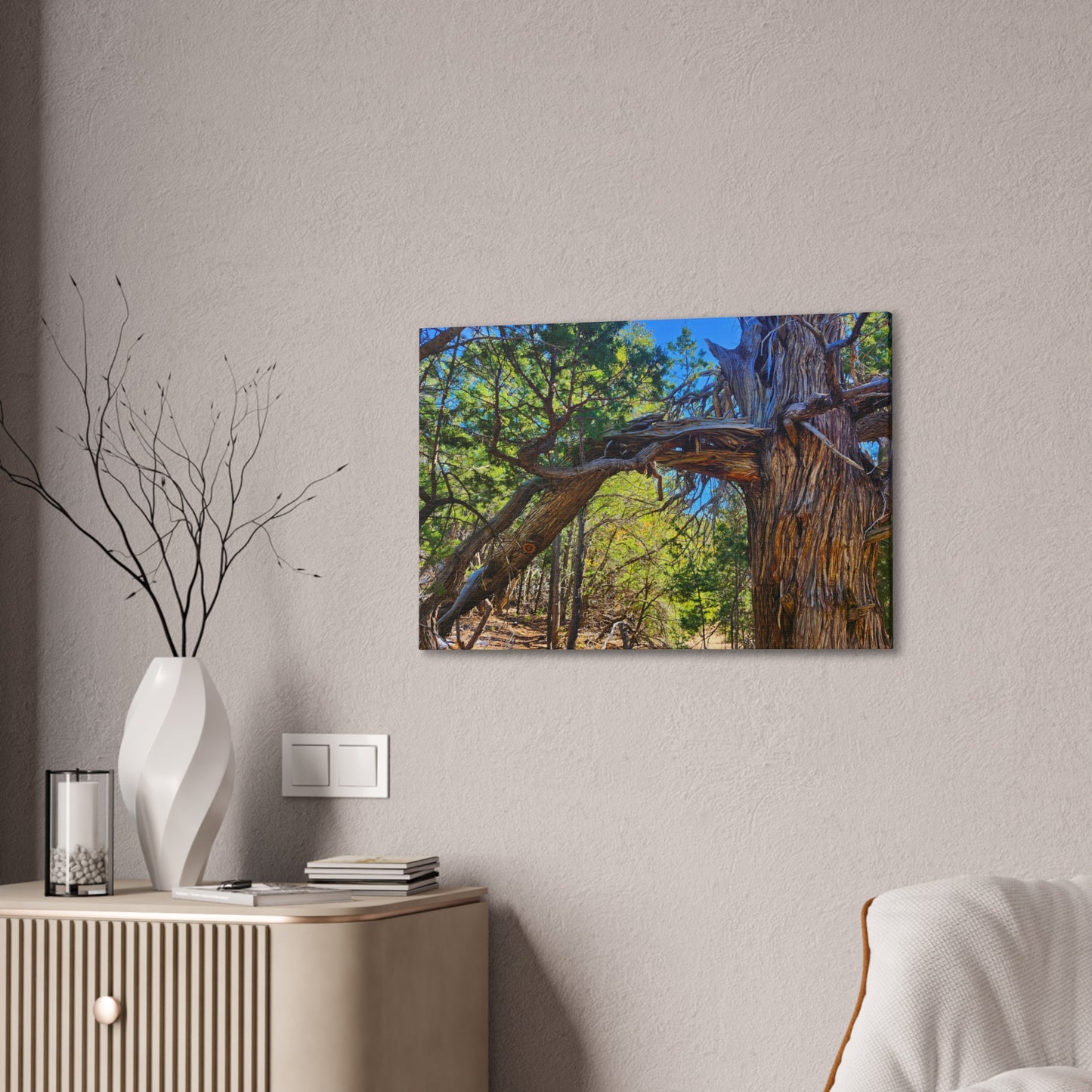 Wisdom: New Mexican Juniper (Canvas Print)