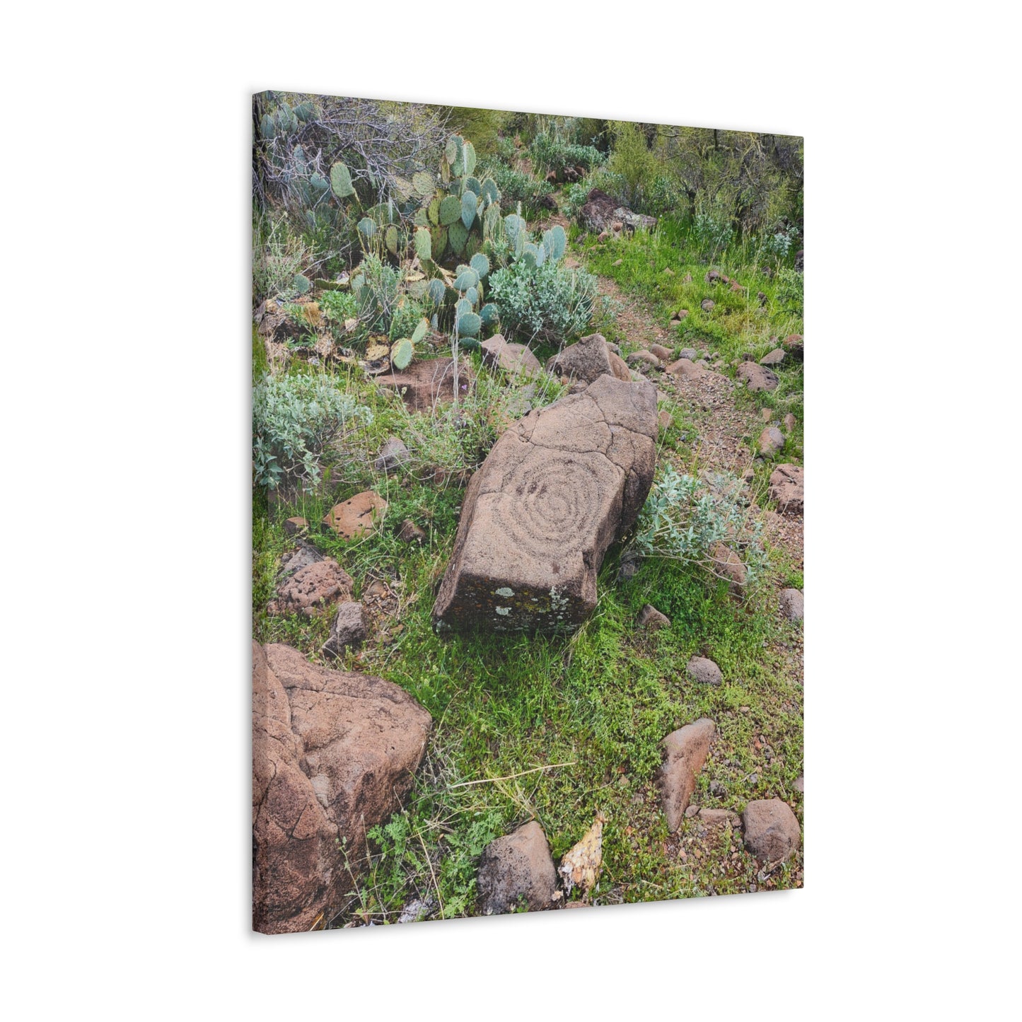 Petroglyphs of the Sonoran Desert; Arizona Photography, Wall Art, Natural Landscape Home Decor for Hikers and Nature Lovers!