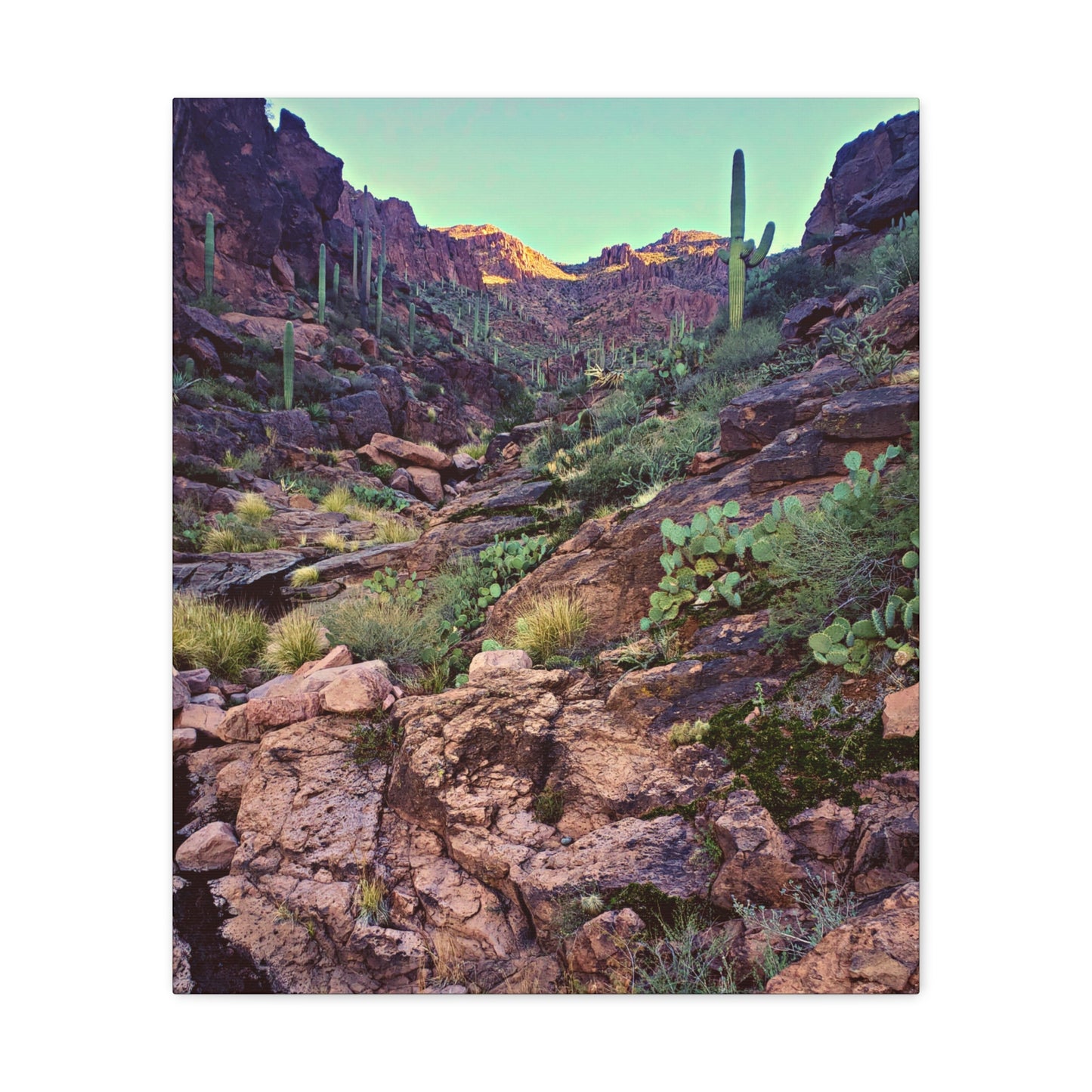 Canvas Gallery Wraps: A View Up the Canyon; Arizona Photography, Wall Art, Natural Landscape Home Decor for Hikers and Nature Lovers!