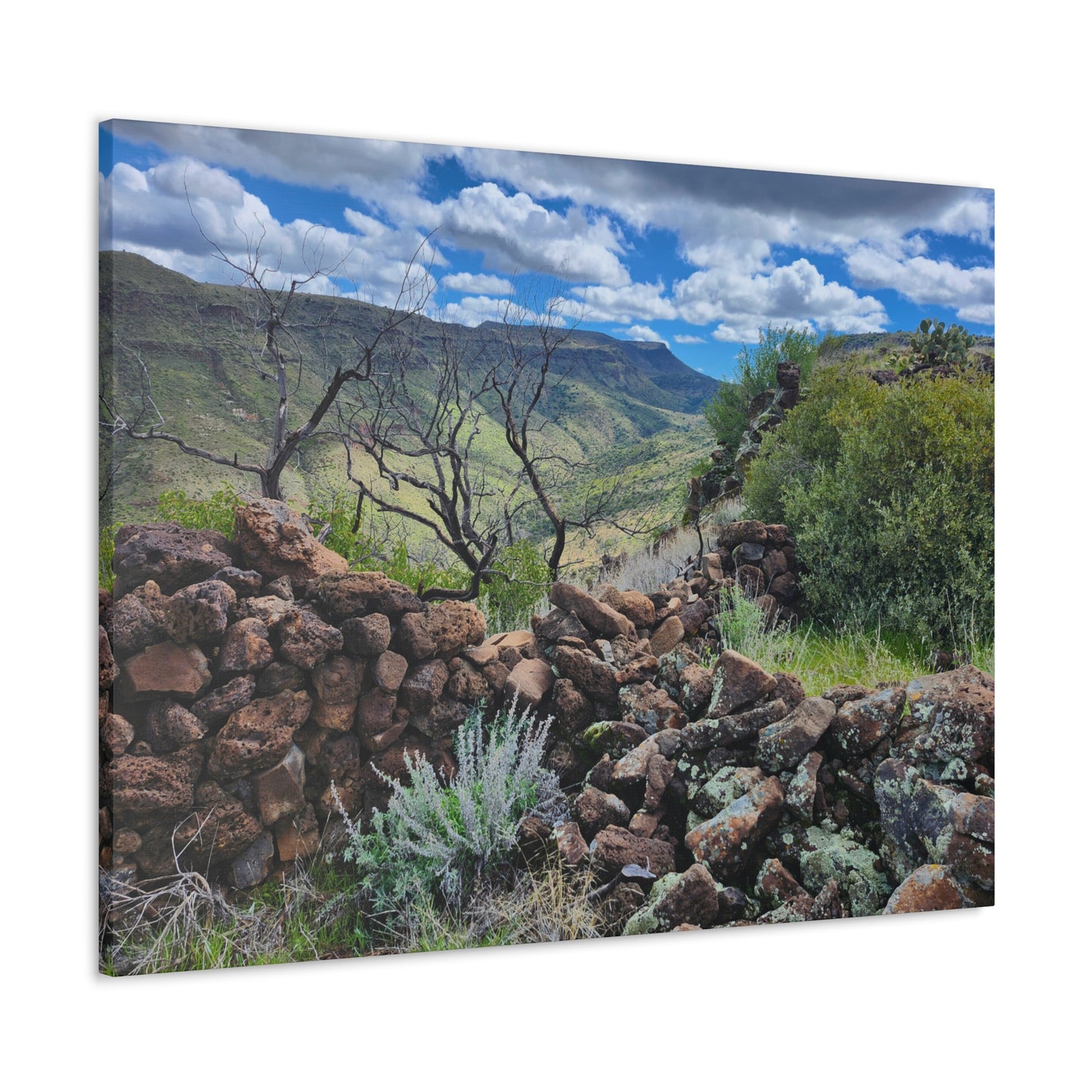 The Ruins of Skull Mesa (#5); Arizona Photography, Wall Art, Natural Landscape Home Decor for Hikers and Nature Lovers!