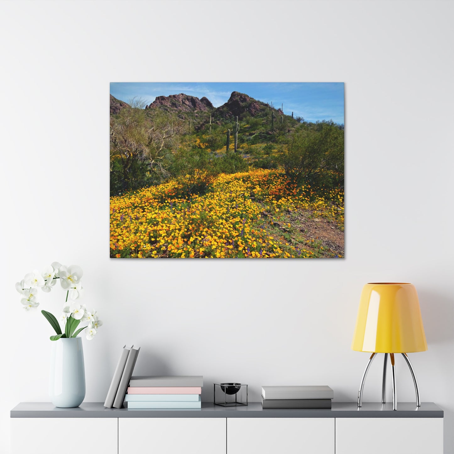 Canvas Gallery Wraps: Desert Wildflowers; Arizona Photography, Wall Art, Natural Landscape Home Decor for Hikers and Nature Lovers!